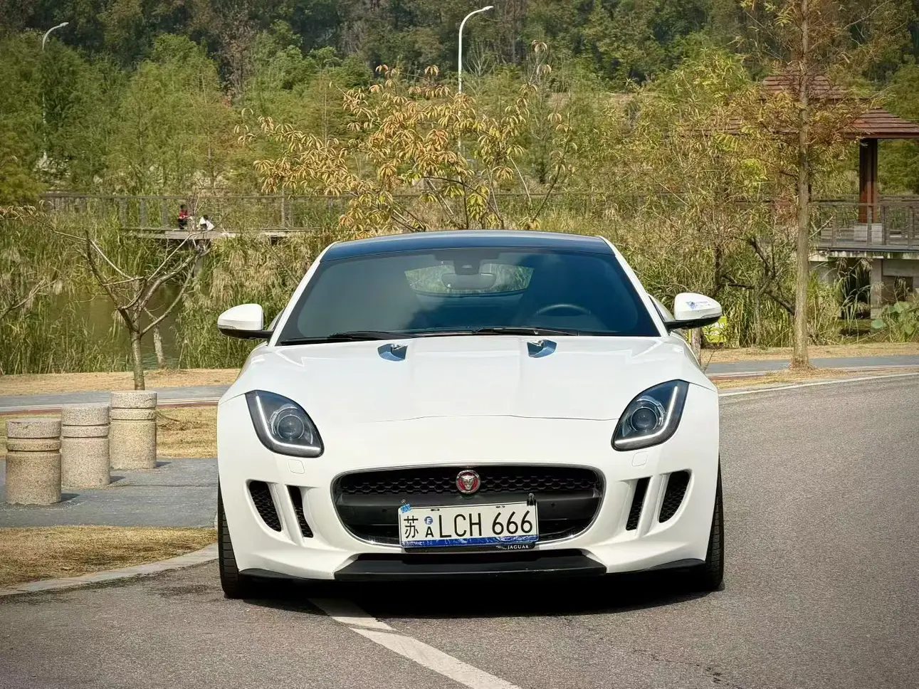Jaguar F-TYPE  из Китая