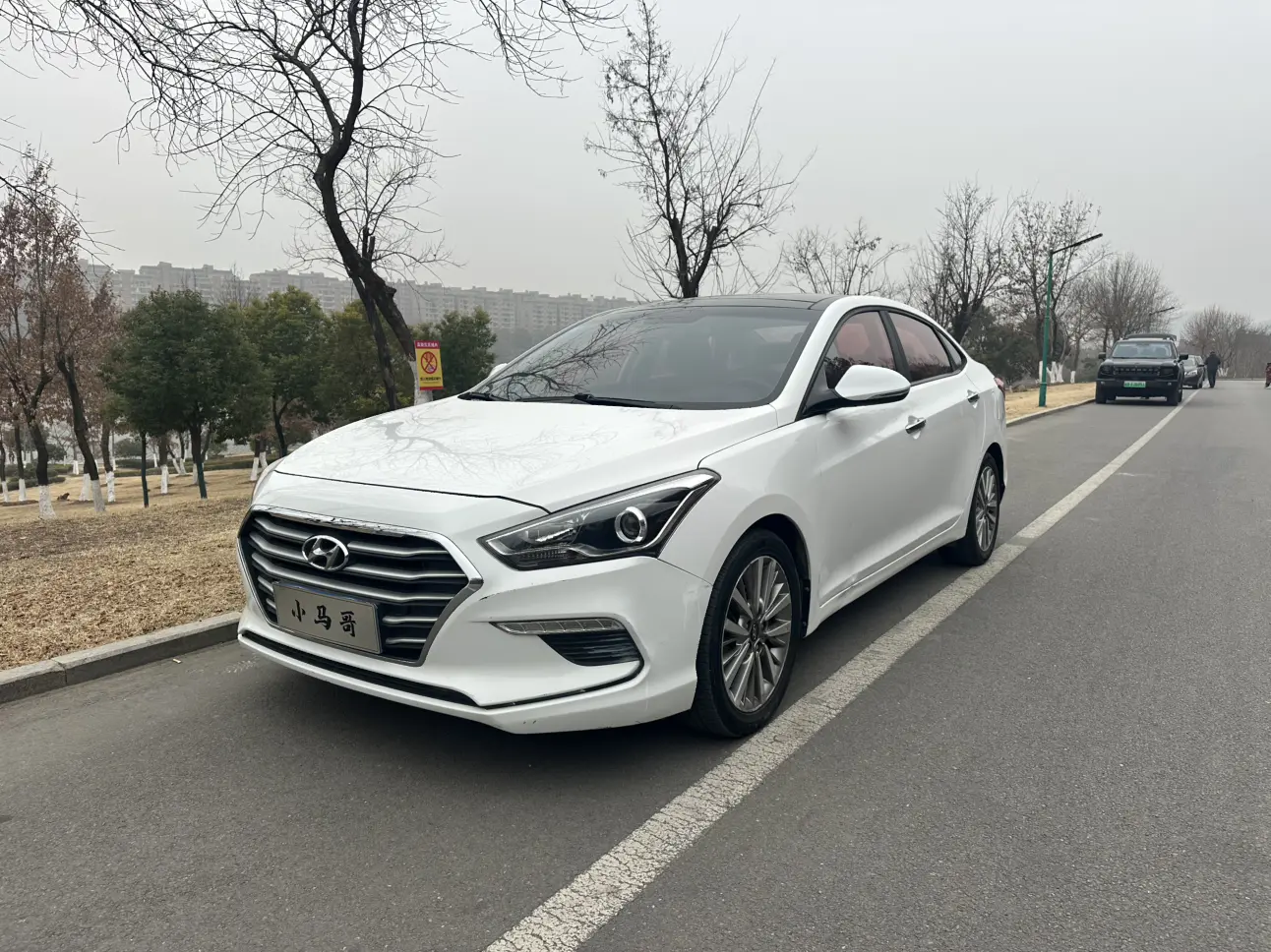 Hyundai Famous pictures  из Китая