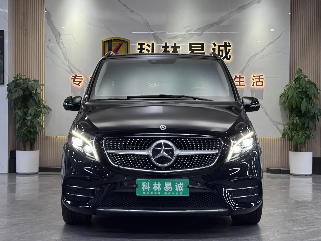 Mercedes-Benz Mercedes Benz V Class  из Китая