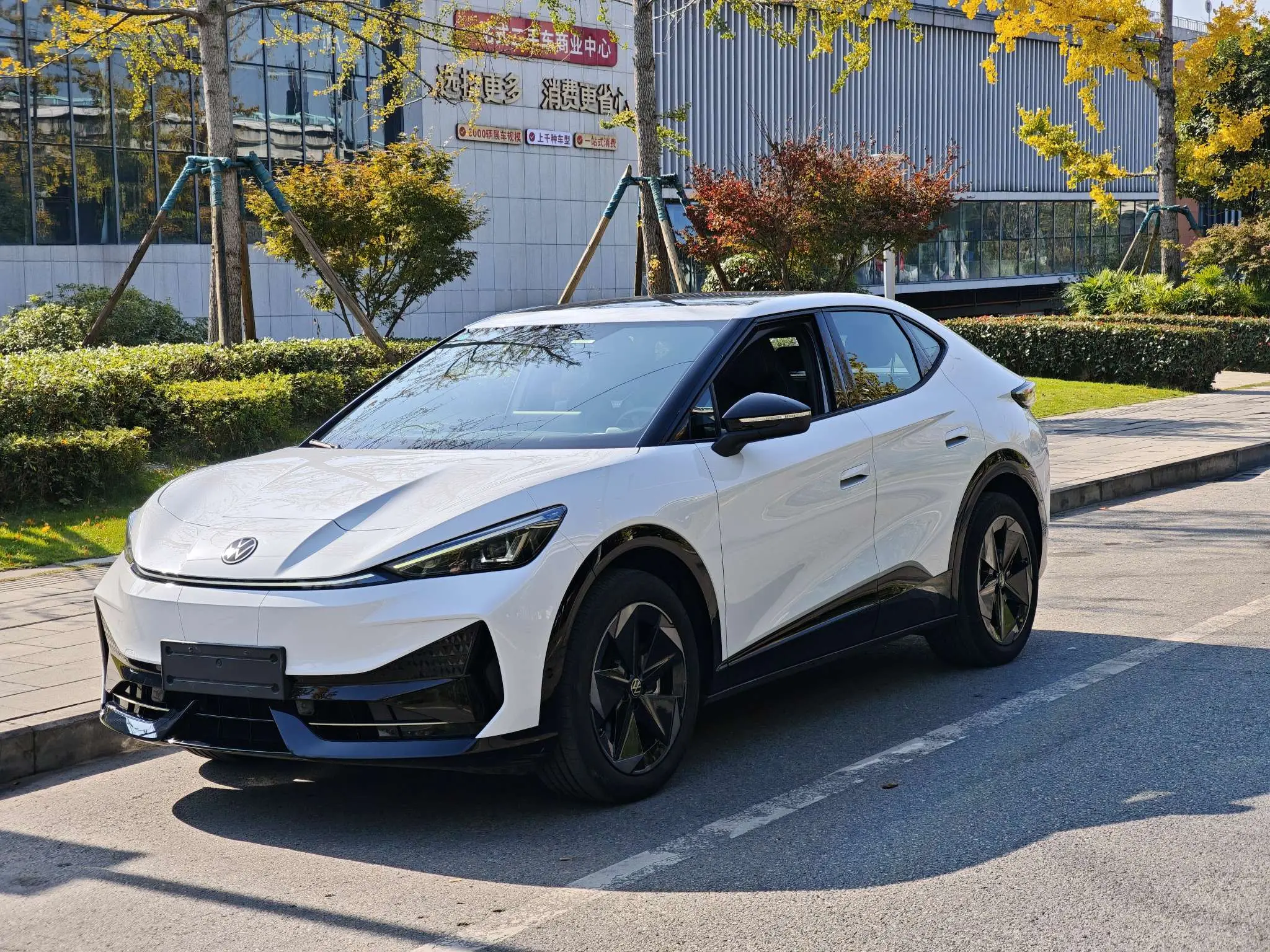 Volkswagen With the crowd06  из Китая