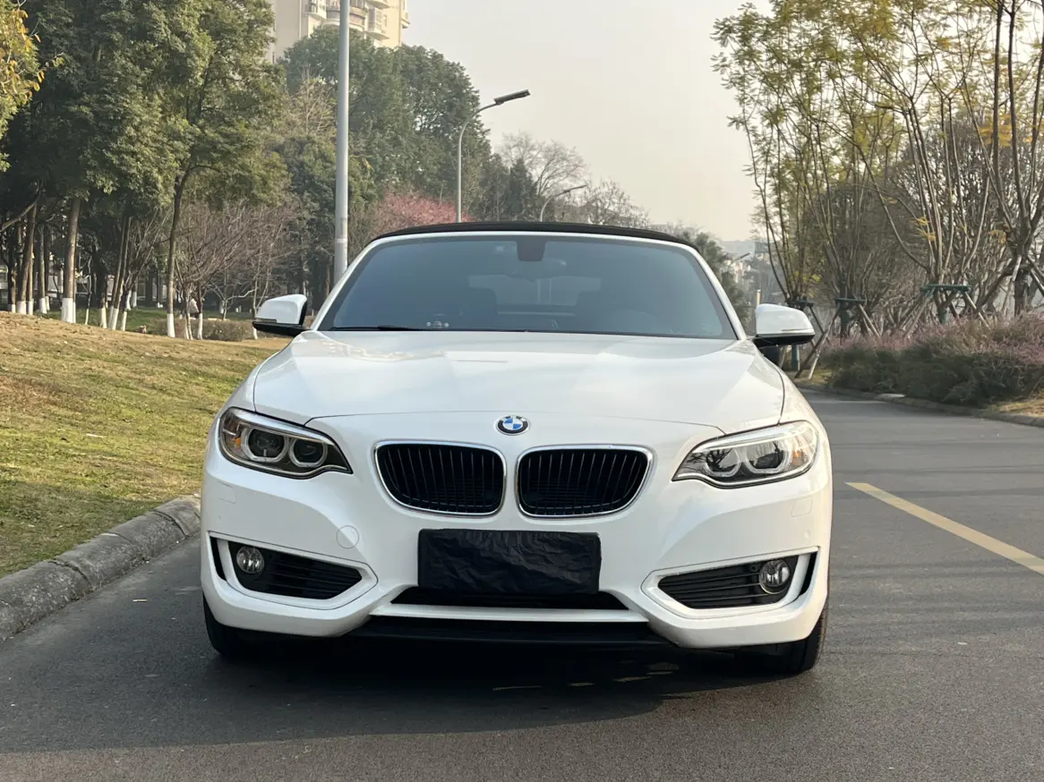 BMW 2 Series  из Китая