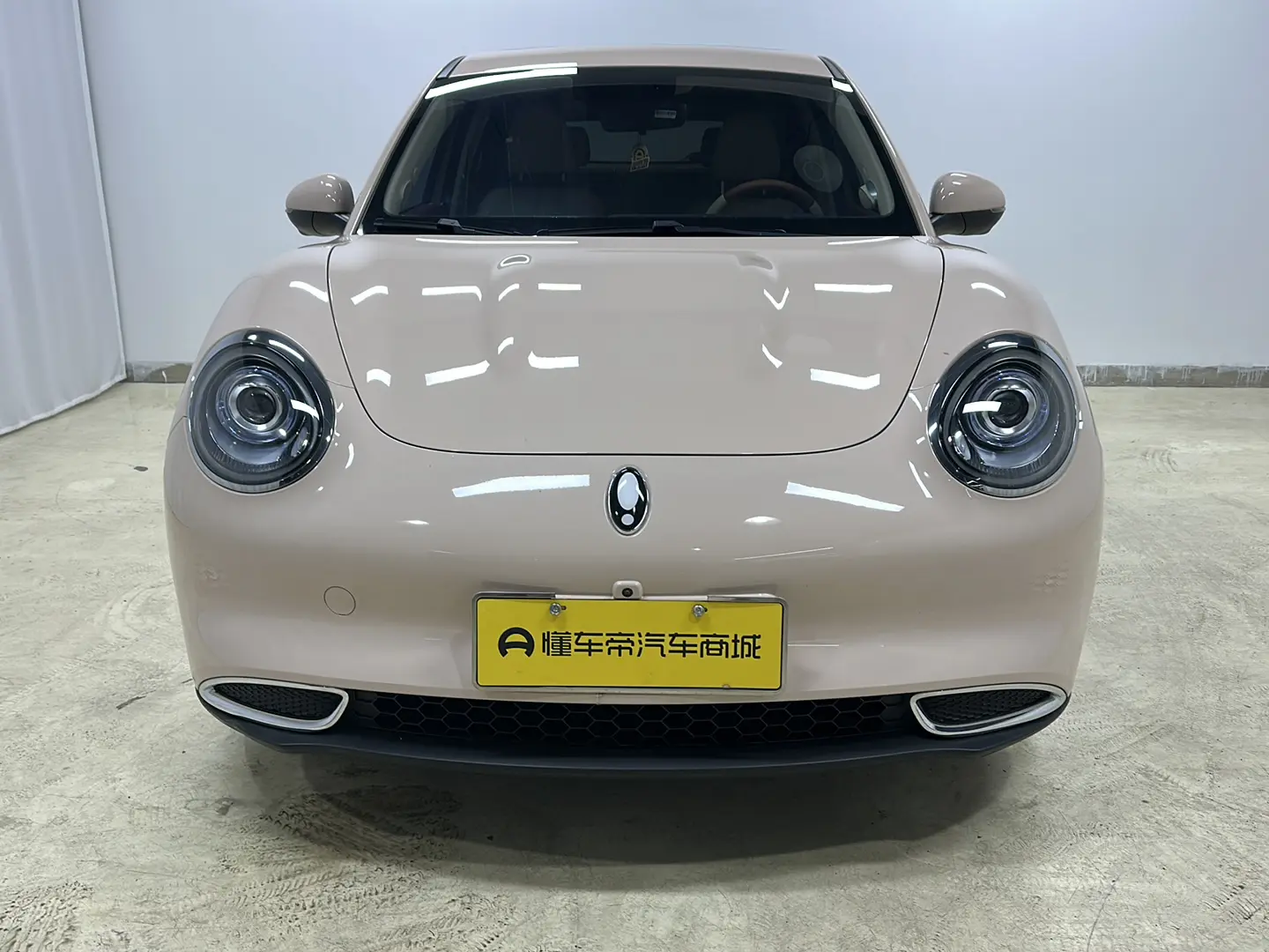 ORA Euler good cat  из Китая