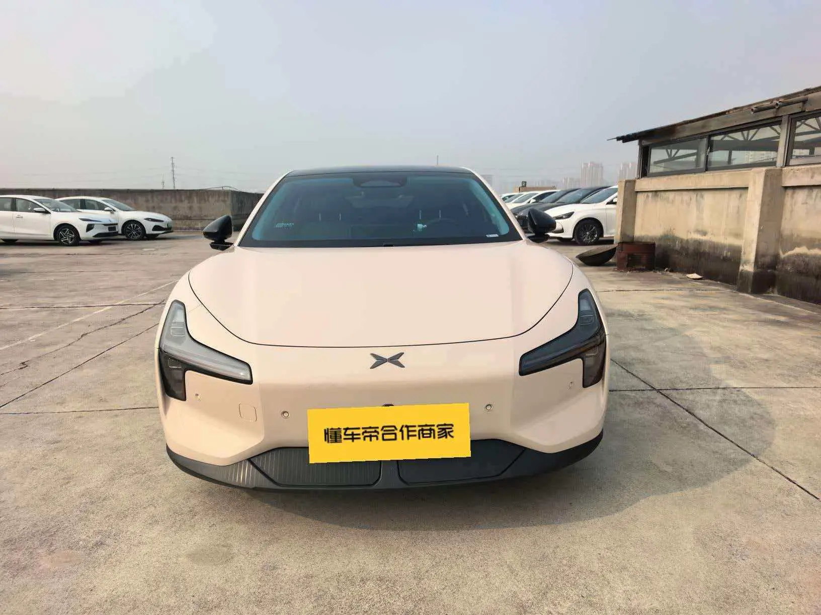 Xpeng Xiaopeng MONA M03  из Китая