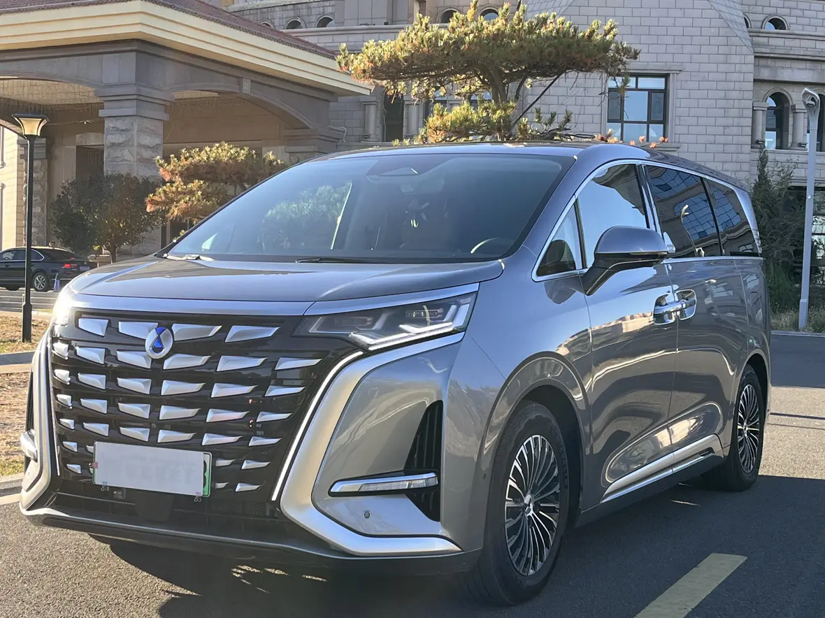 Denza D9 DM  из Китая