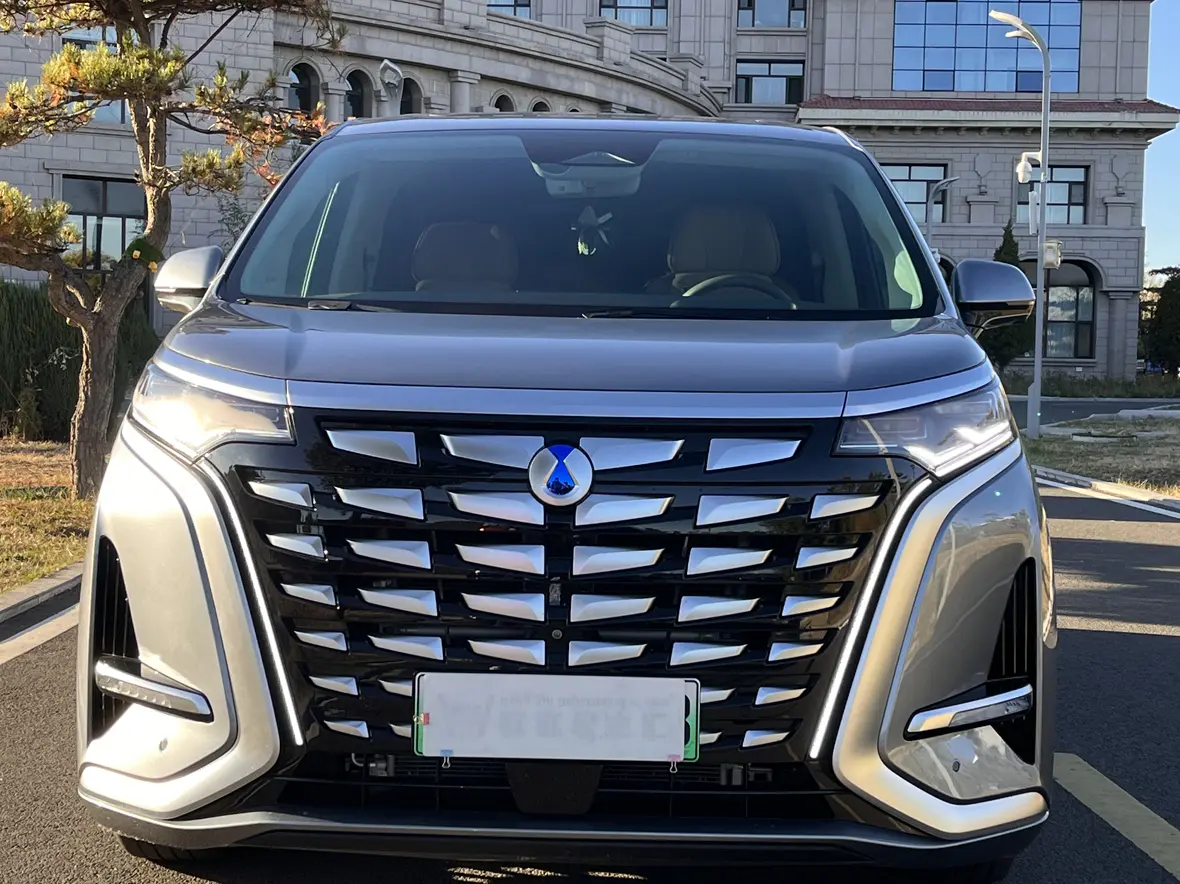 Denza D9 DM  из Китая