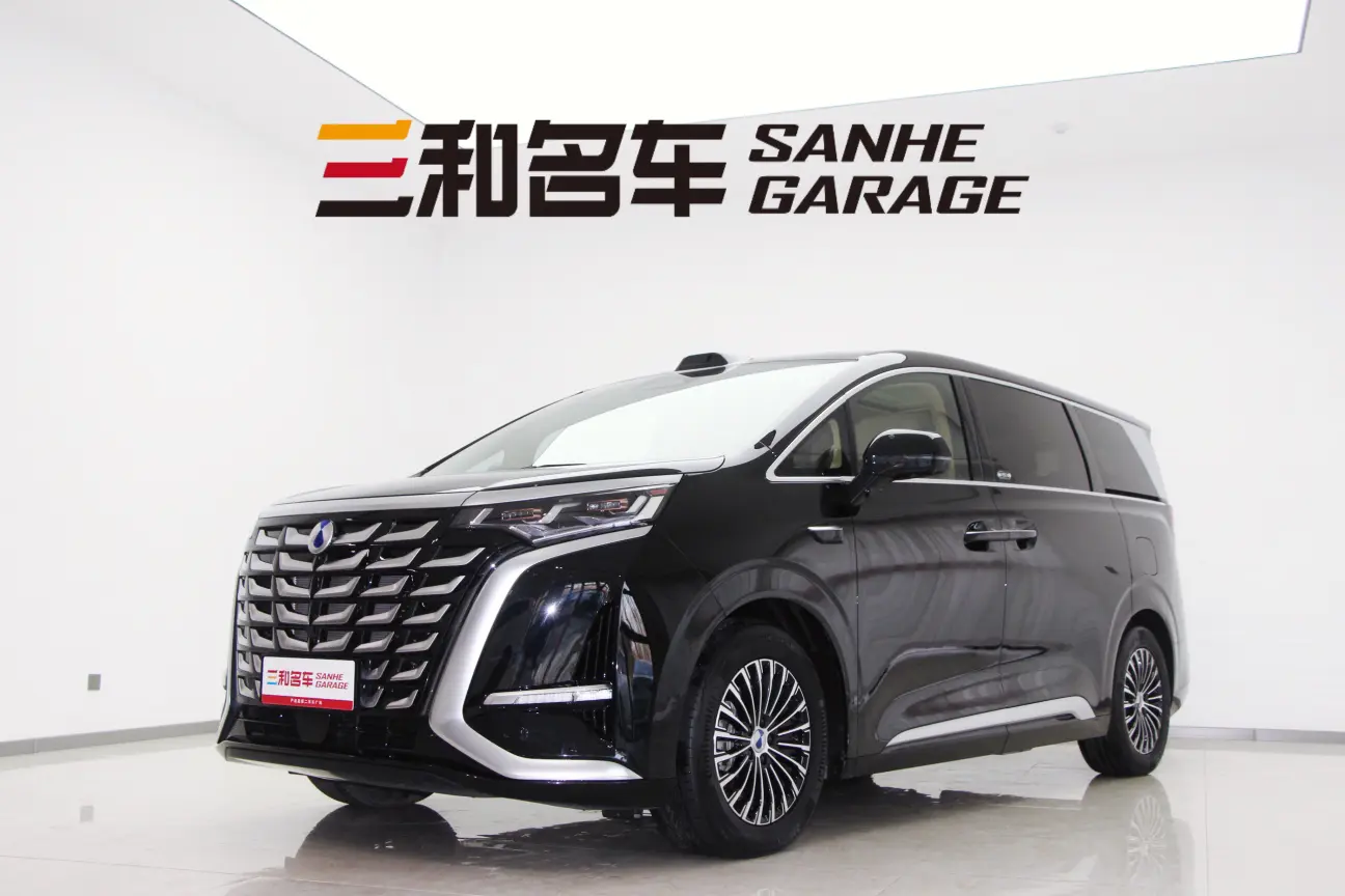 Denza D9 DM  из Китая