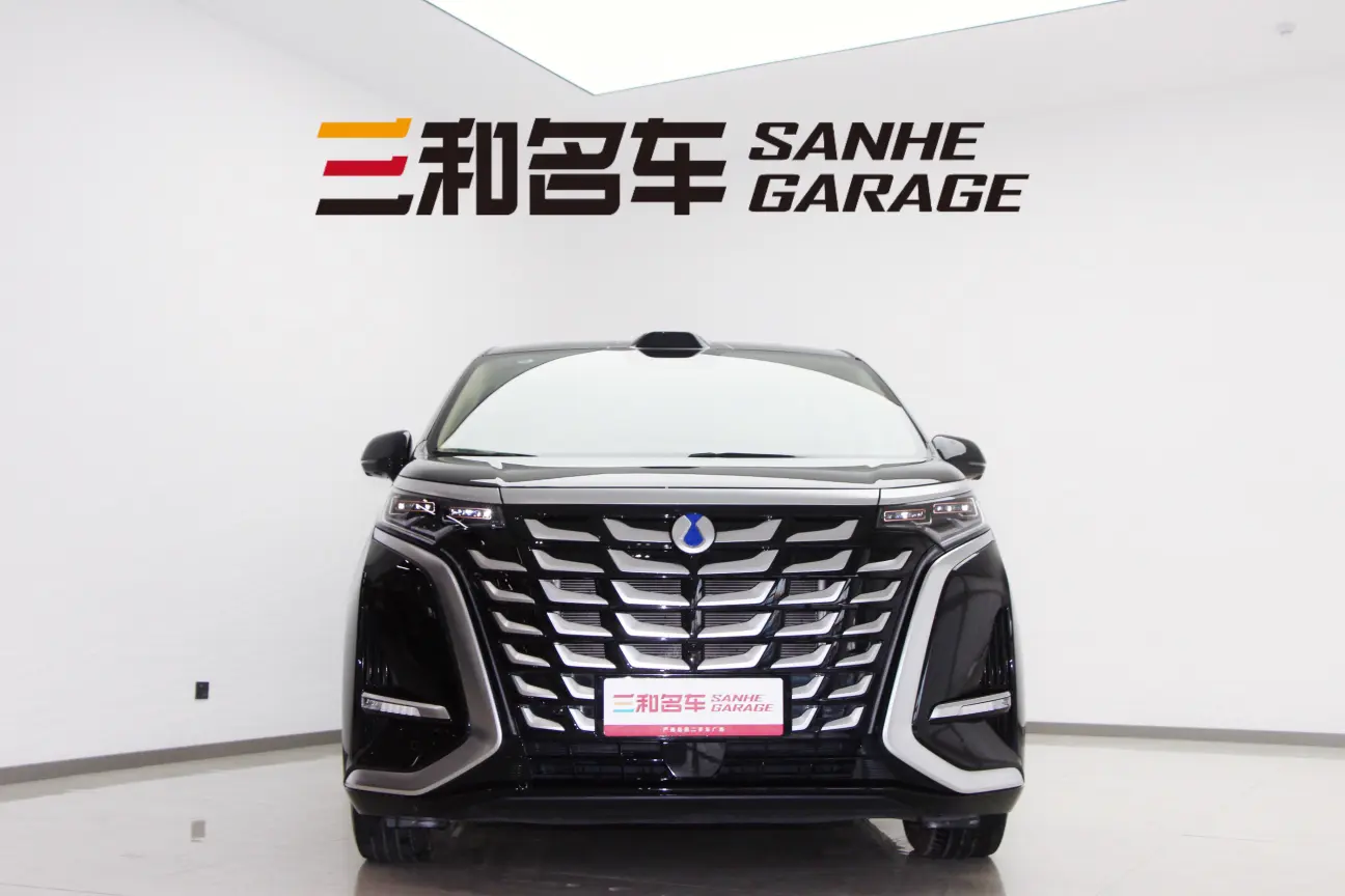 Denza D9 DM  из Китая