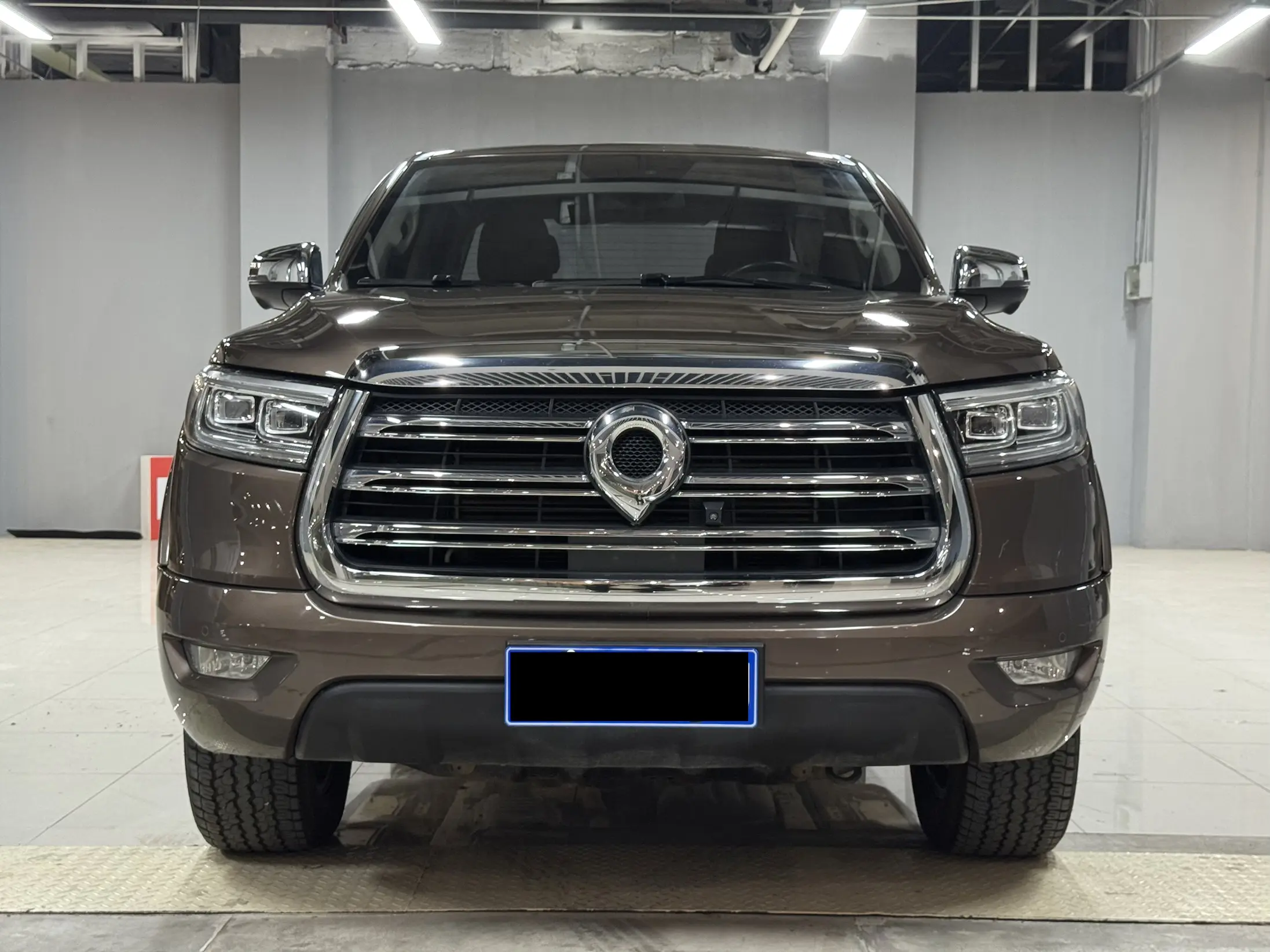 Great Wall Gun  из Китая