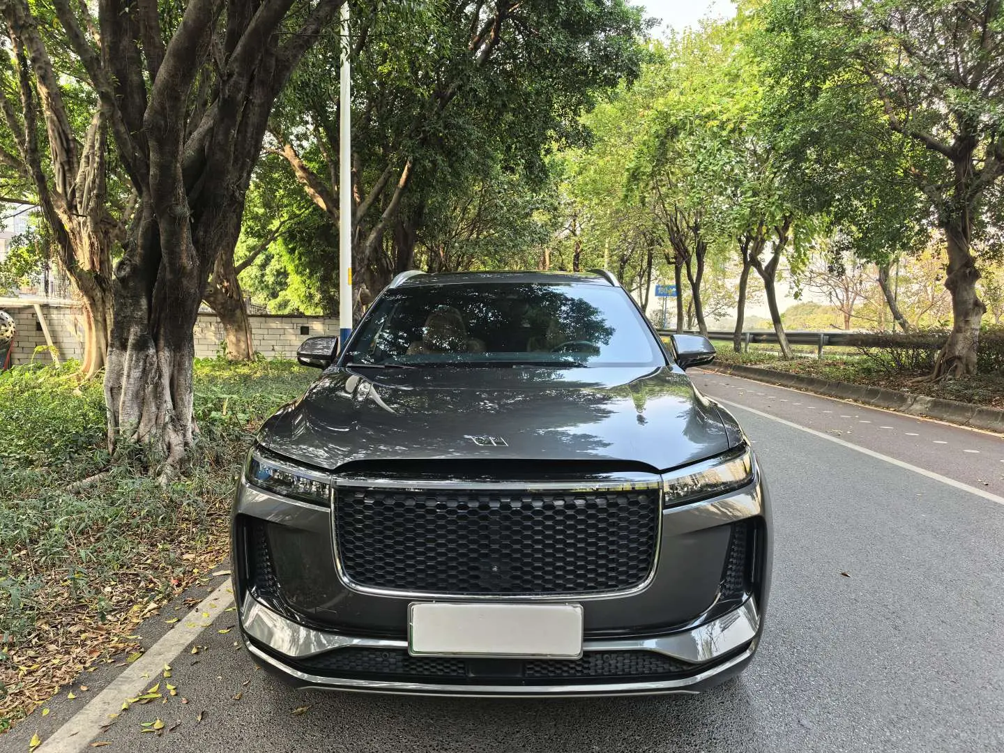 Li ONE (Ideal ONE)  из Китая