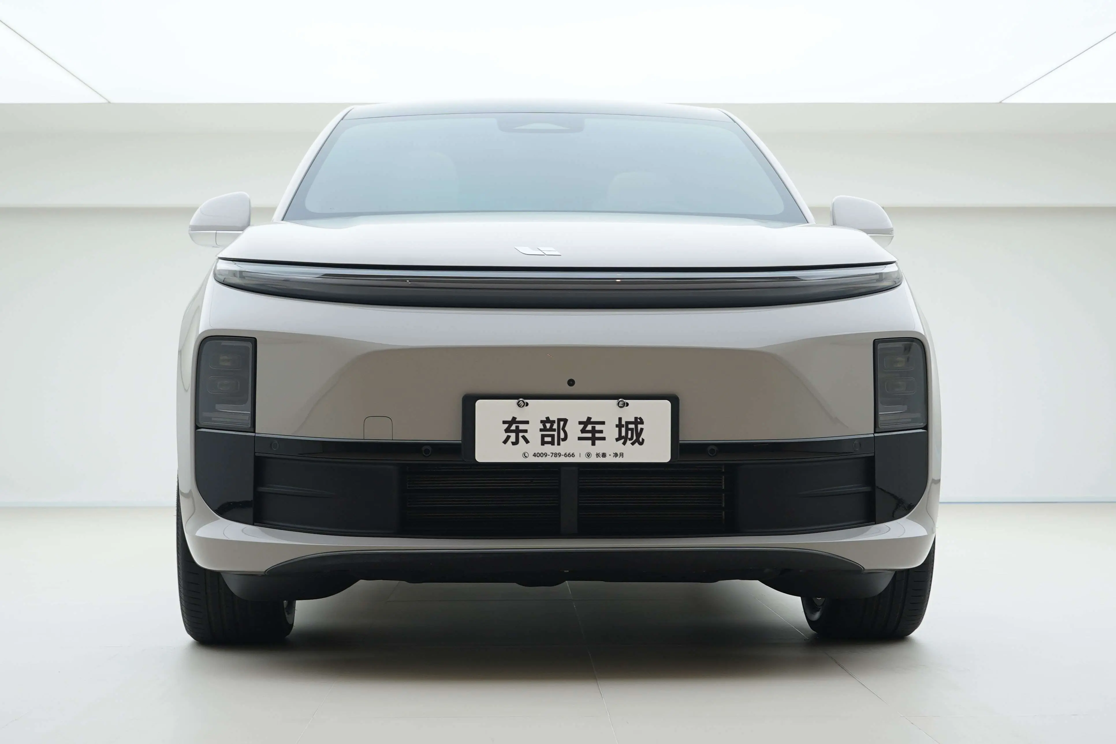 Li L6 (Ideal L6)  из Китая