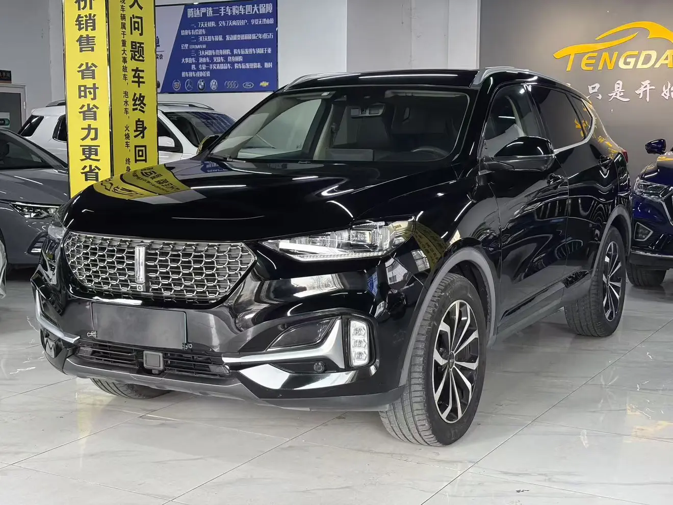 Wey Wei brand VV6