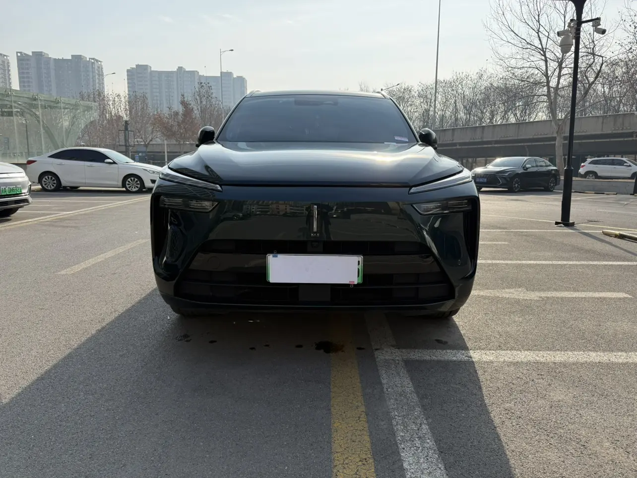 Wey Blue Mountain  из Китая