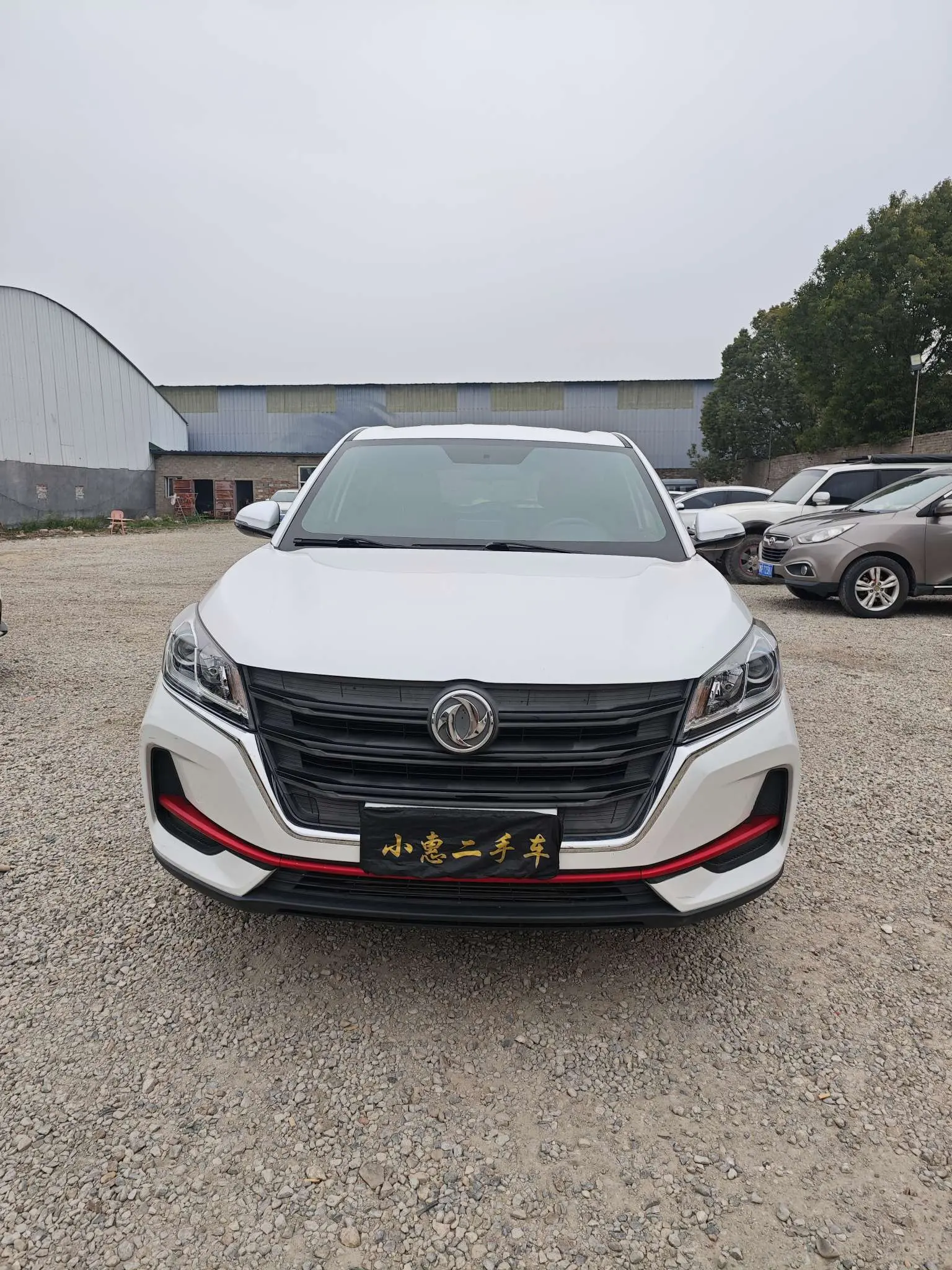 Dongfeng Fengon 500  из Китая