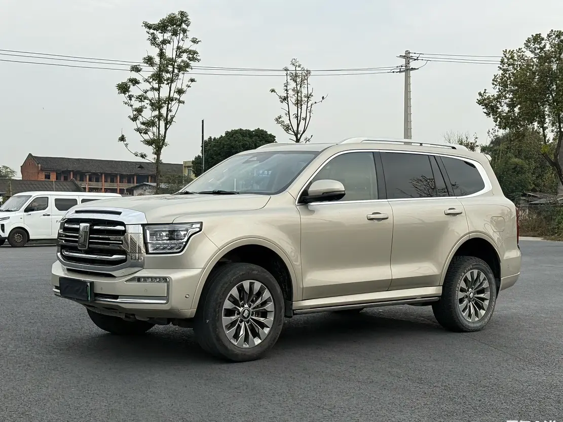 Tank 500 Hi4-T  из Китая