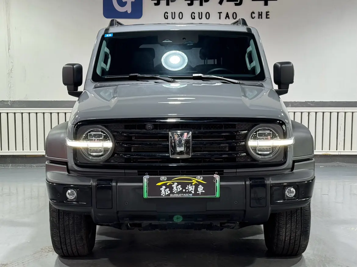 Tank 300 Hi4-T  из Китая