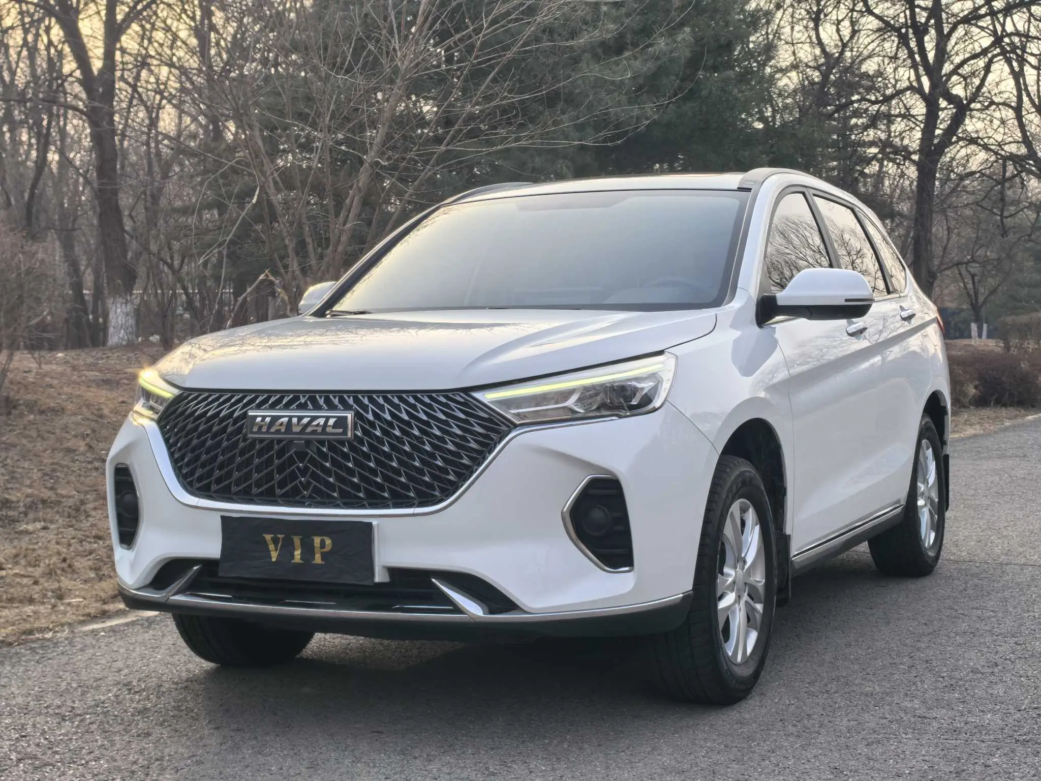 Haval M6  из Китая