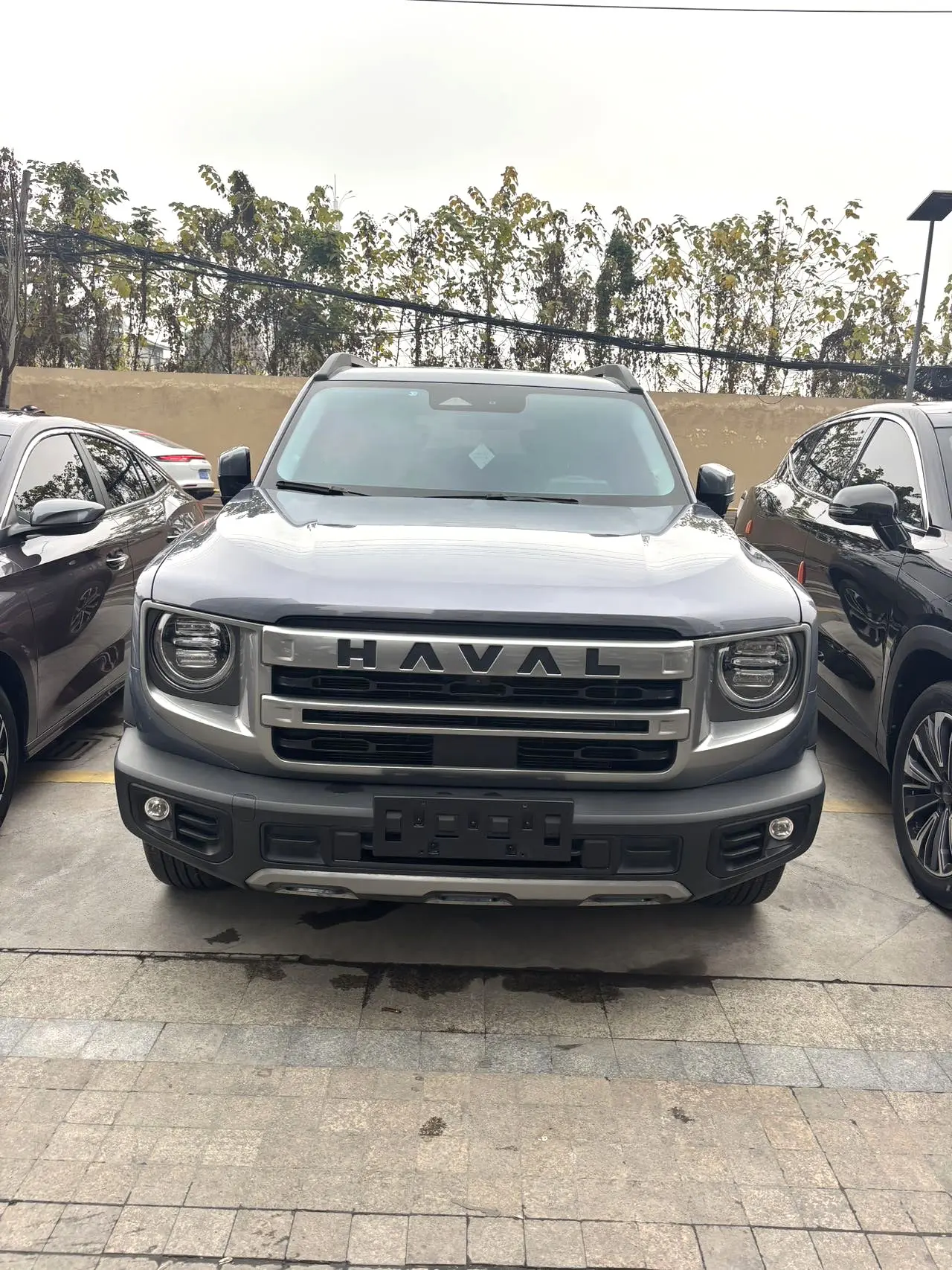 Haval Dargo  из Китая