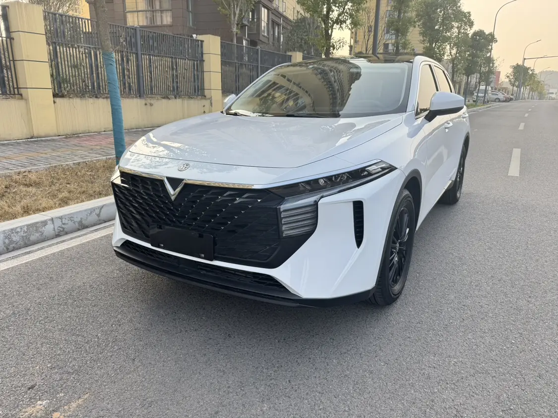 Kai Chen Venucia Big V  из Китая