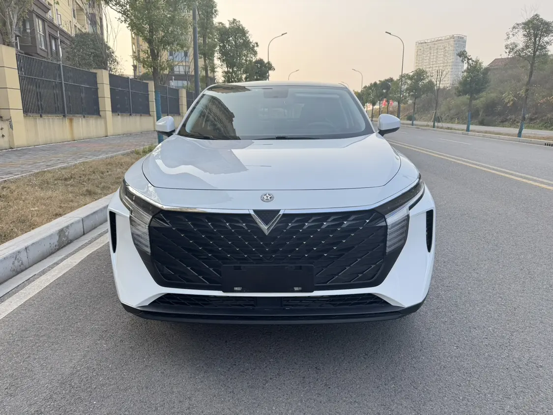 Kai Chen Venucia Big V  из Китая