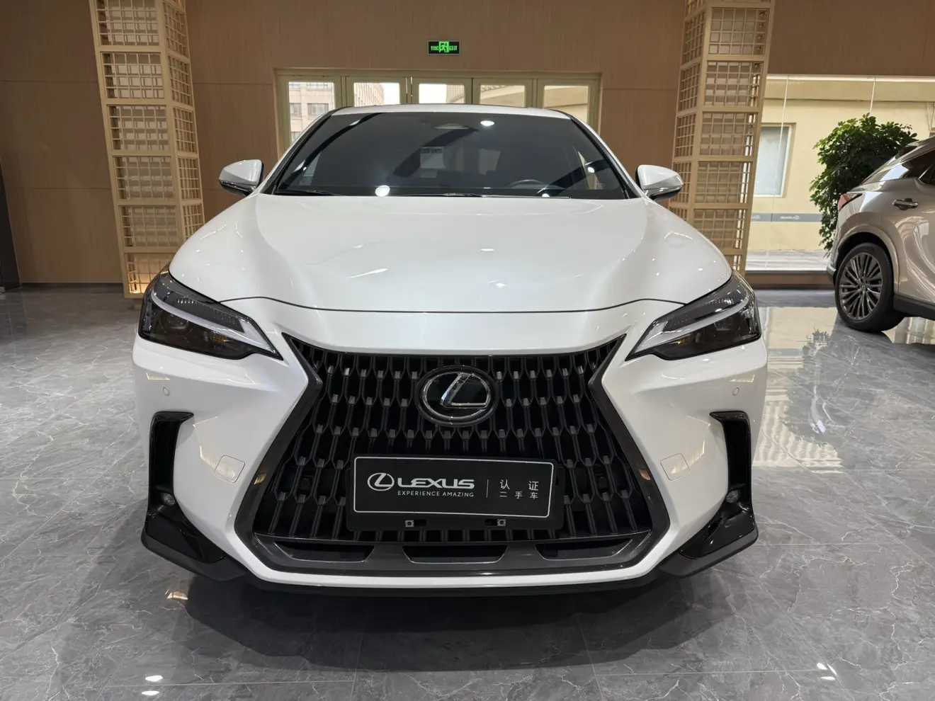 Lexus NX PHEV  из Китая