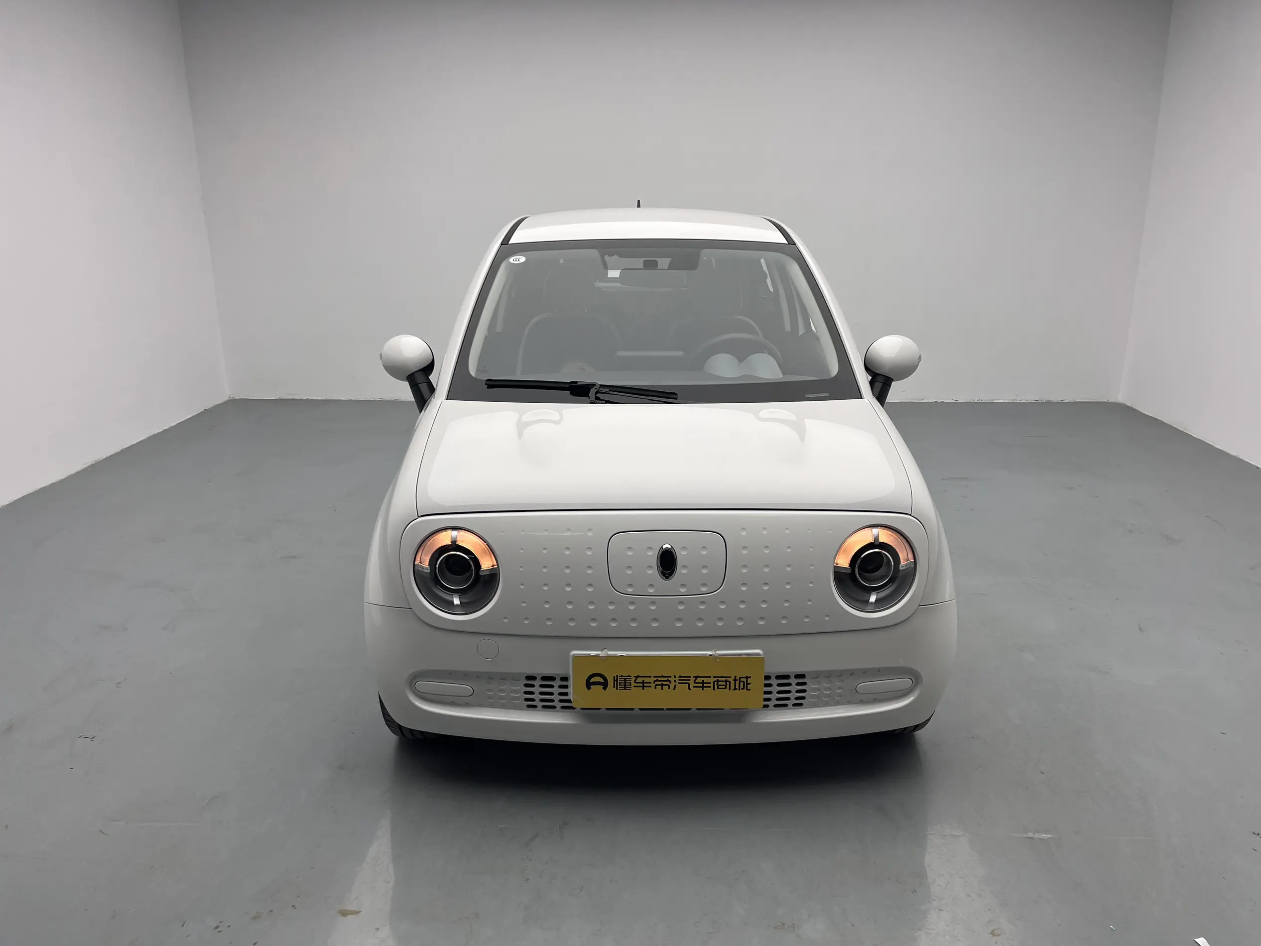 ORA Euler black cat  из Китая