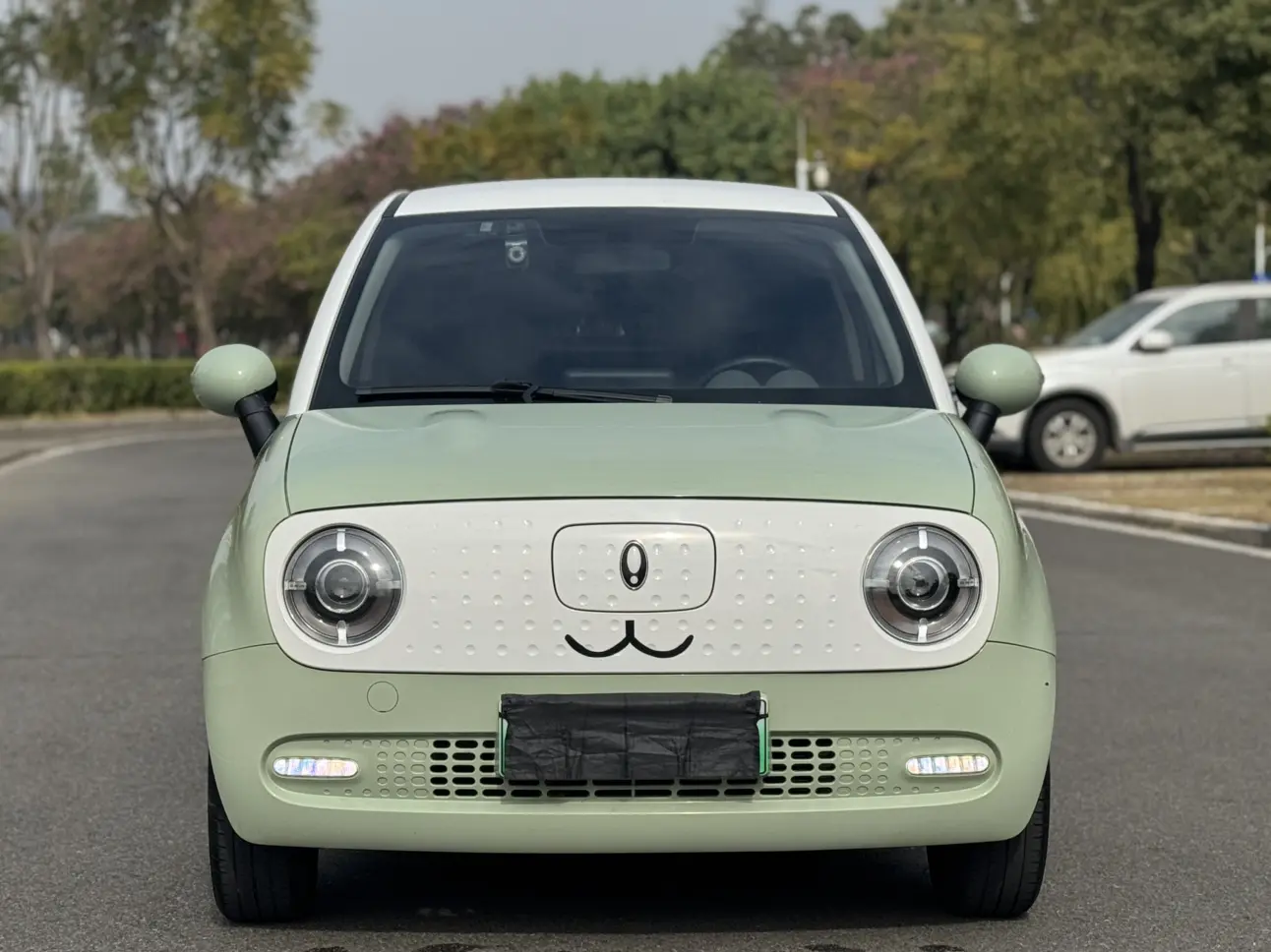 ORA Euler black cat  из Китая