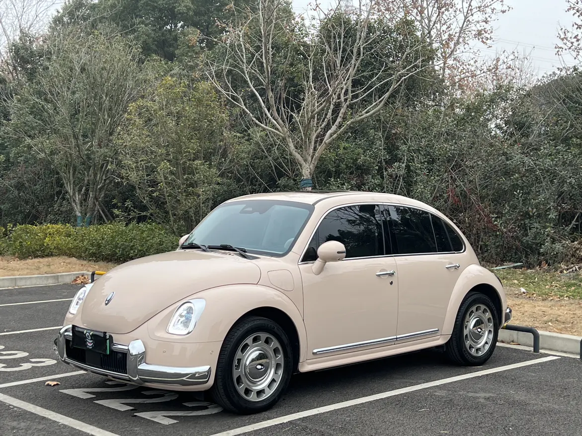 ORA Euler ballet cat  из Китая