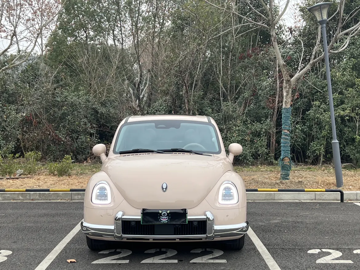 ORA Euler ballet cat  из Китая