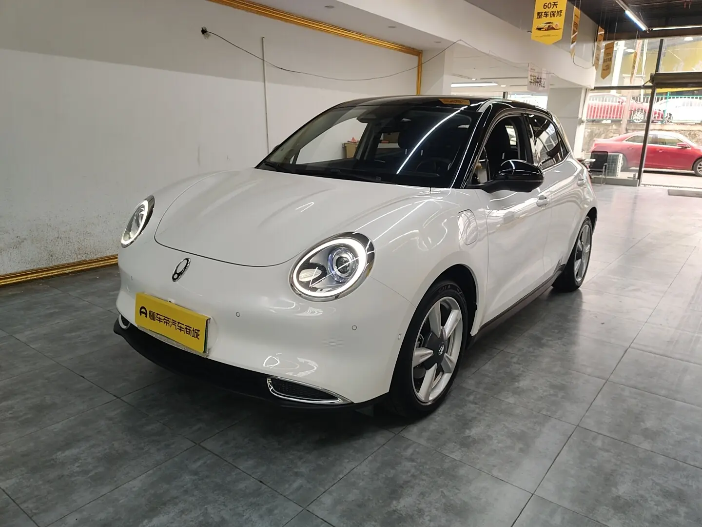 ORA Euler good cat  из Китая