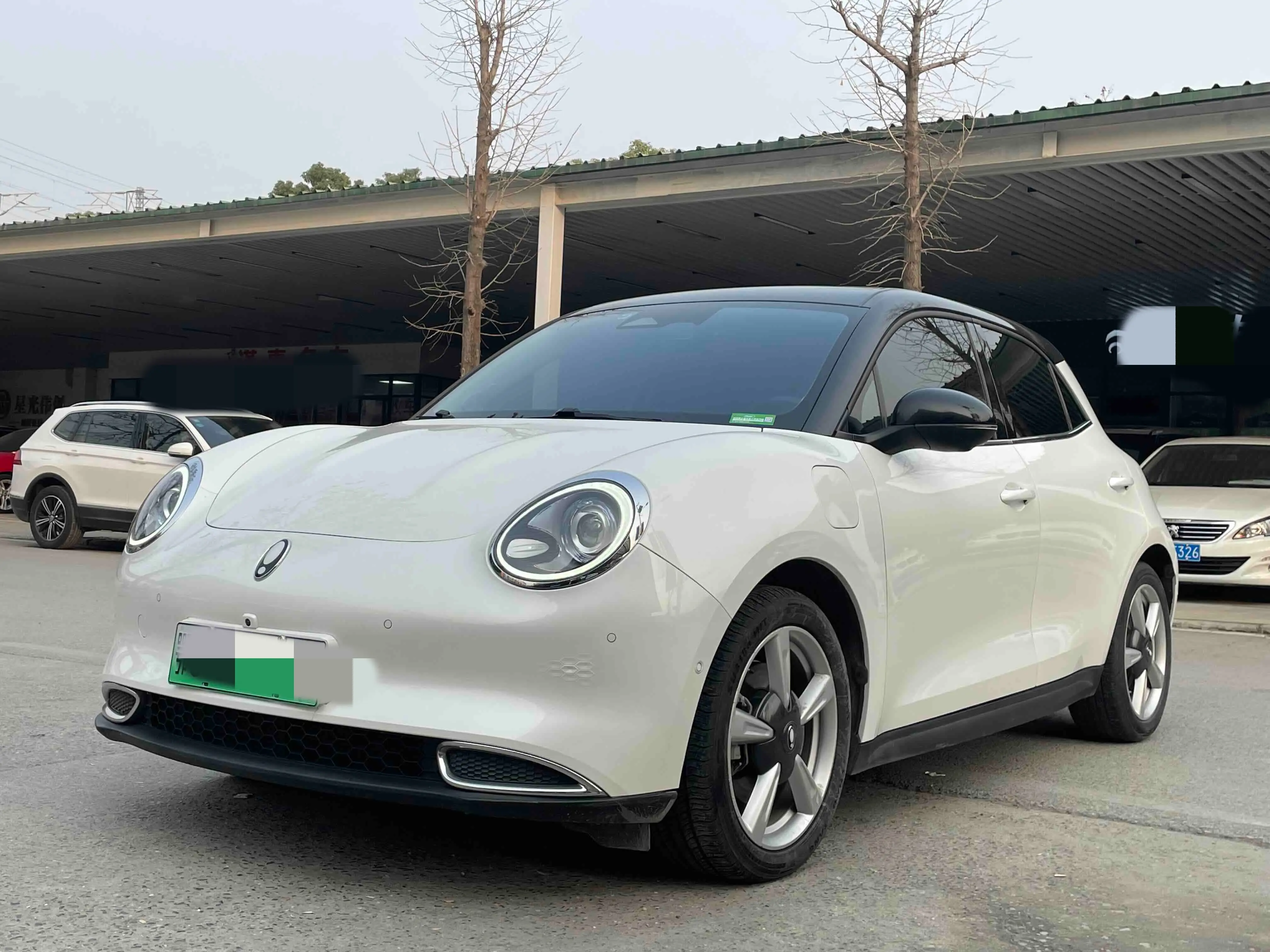 ORA Euler good cat  из Китая