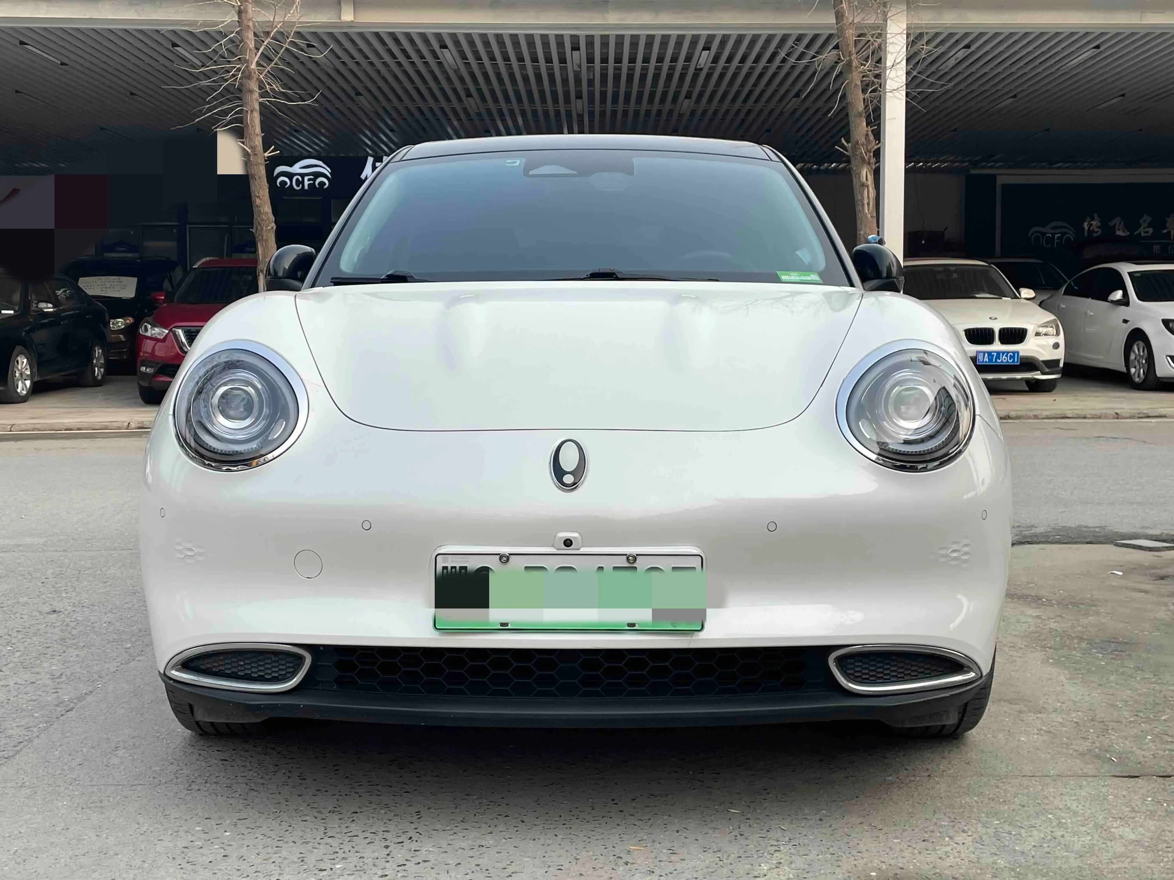 ORA Euler good cat  из Китая