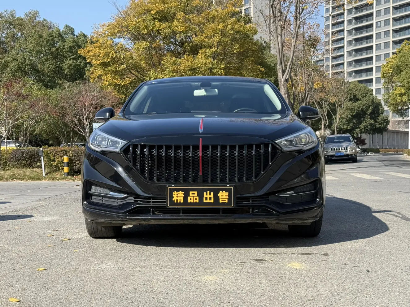 Hongqi H5 classic  из Китая
