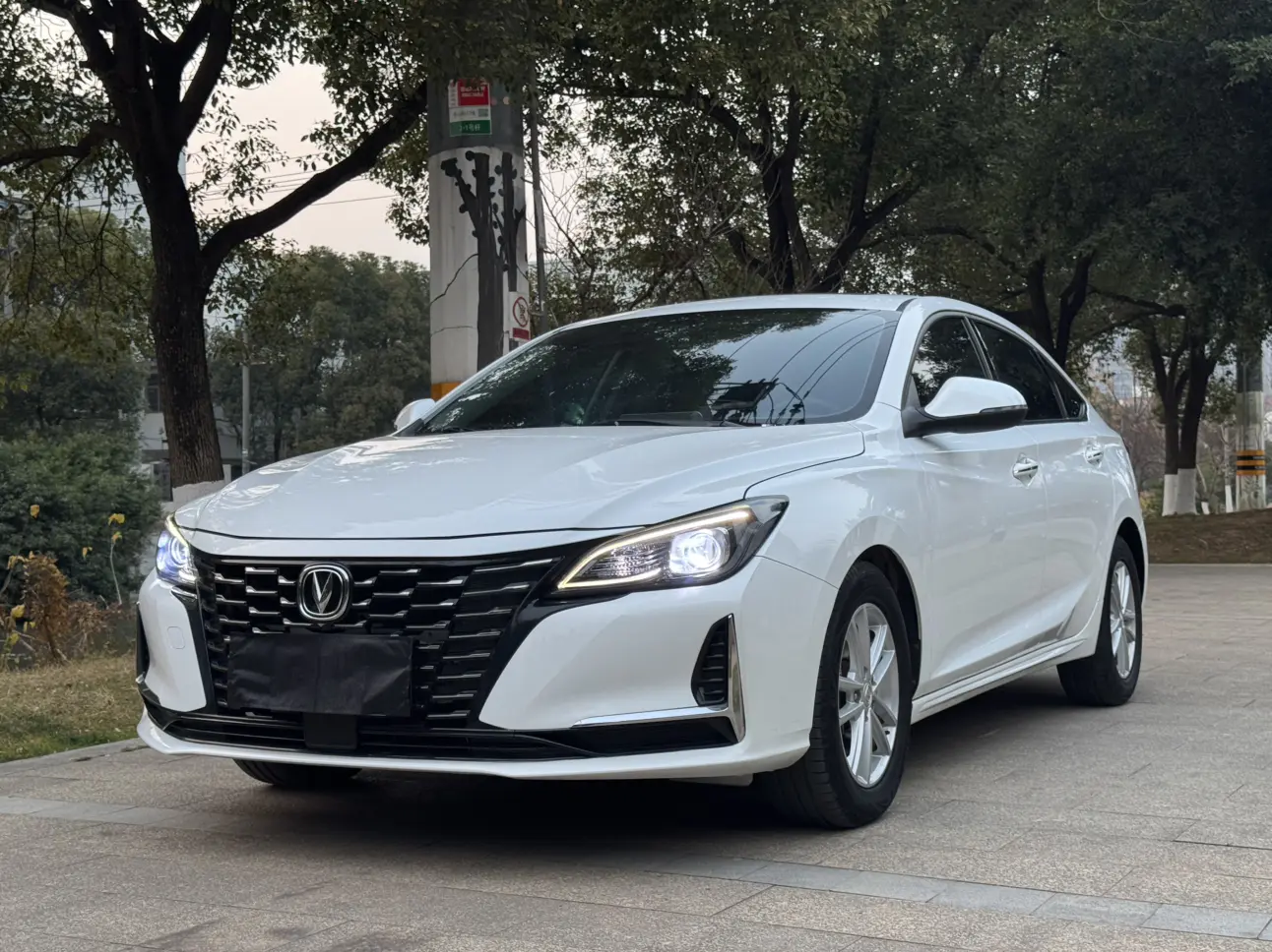 Changan Ruicheng CC  из Китая