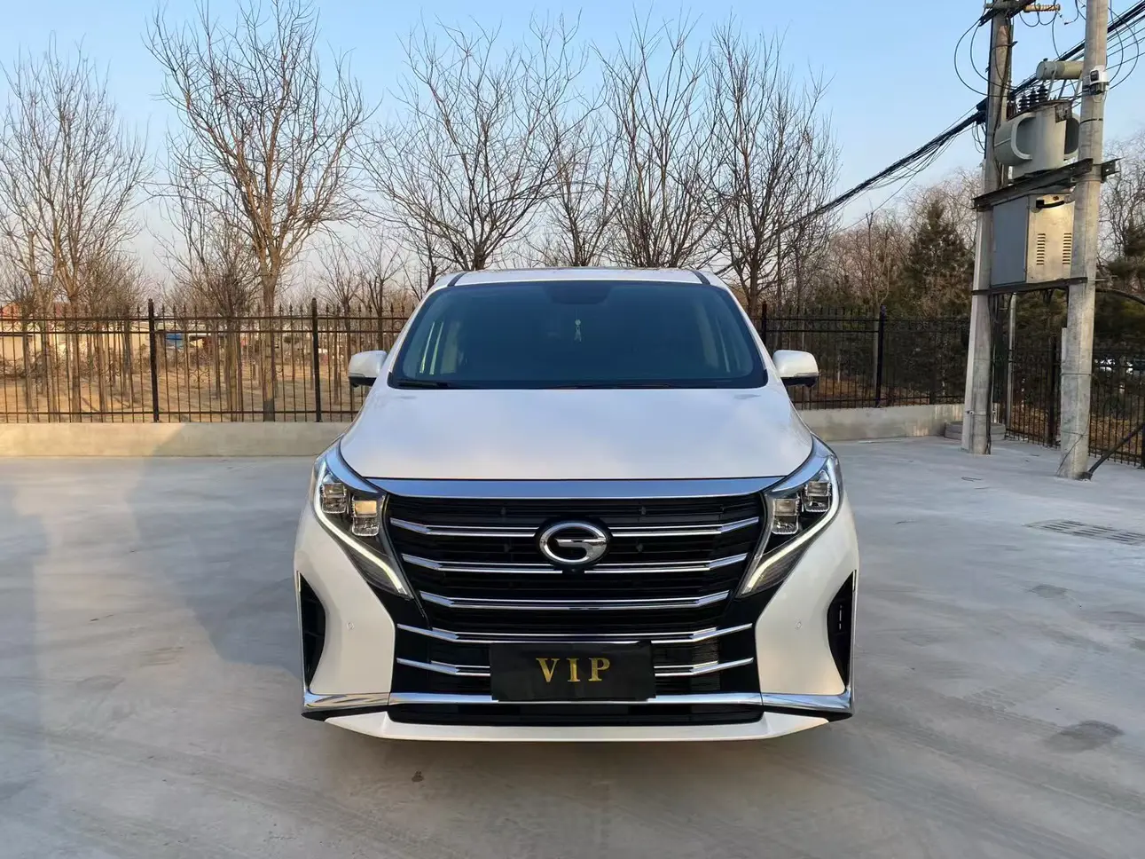 GAC Trumpchi M8  из Китая