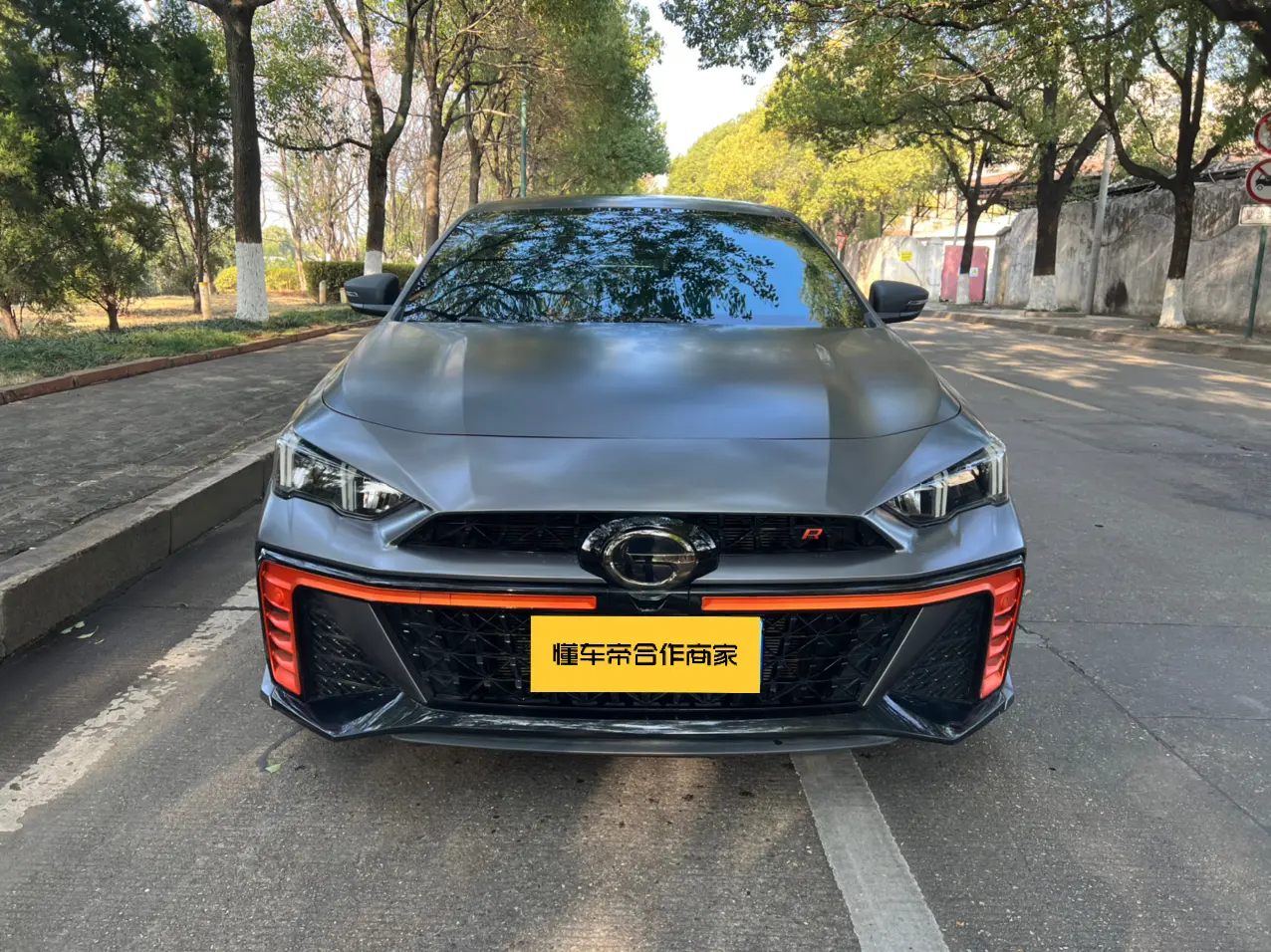 GAC Shadow Leopard  из Китая