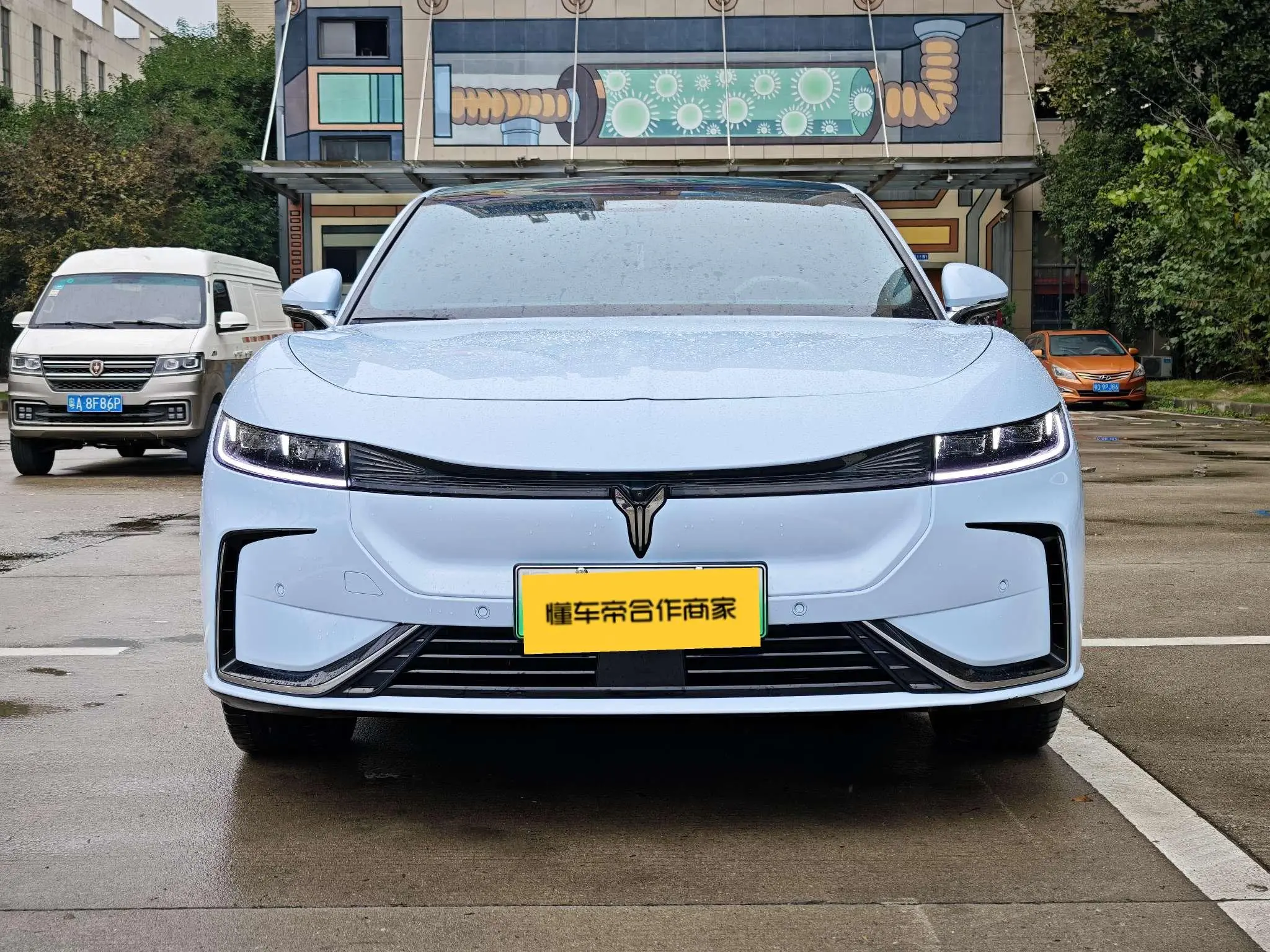 Voyah Passion EV  из Китая