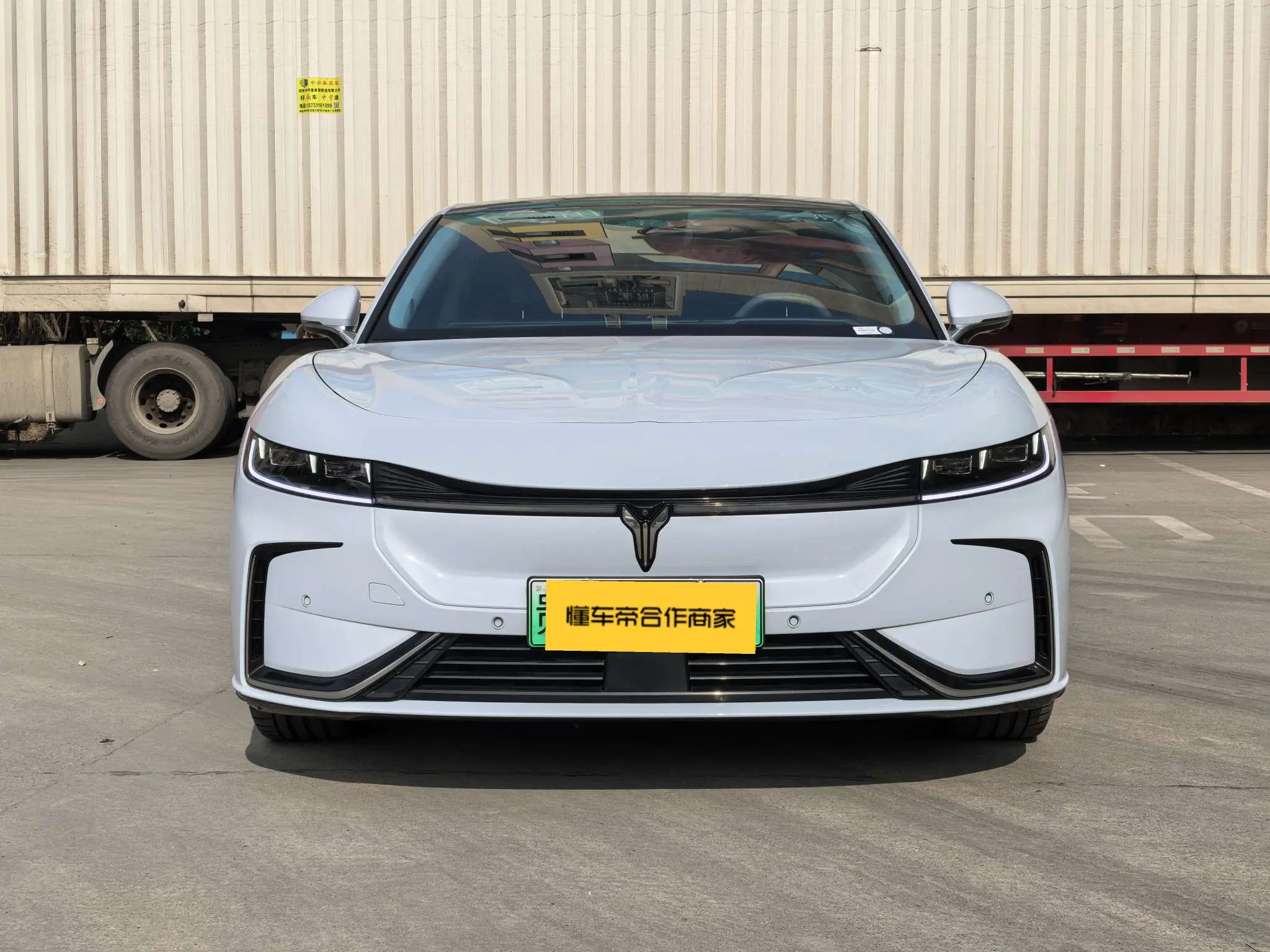 Voyah Passion EV  из Китая