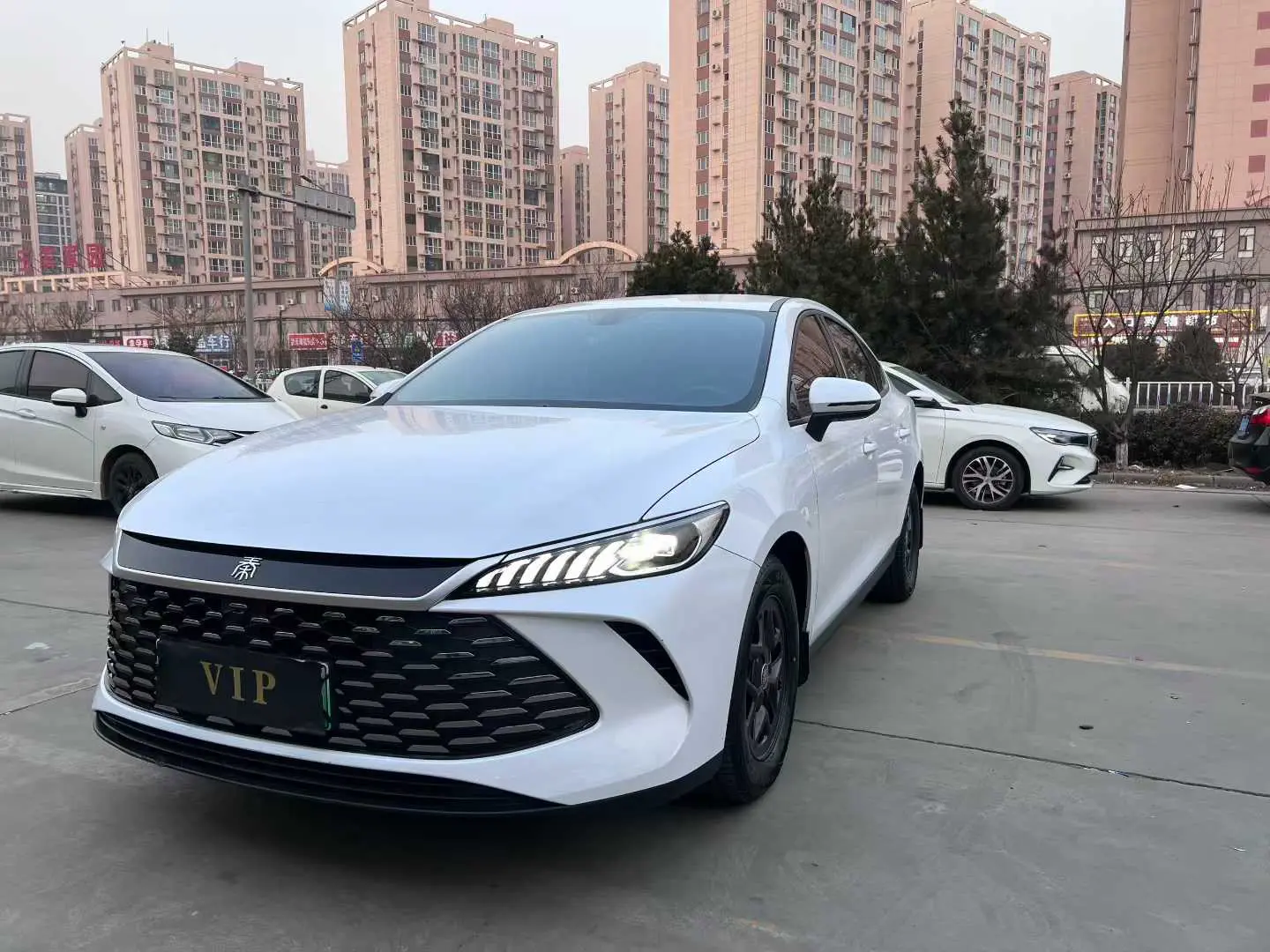 BYD Qin PLUS DM  из Китая
