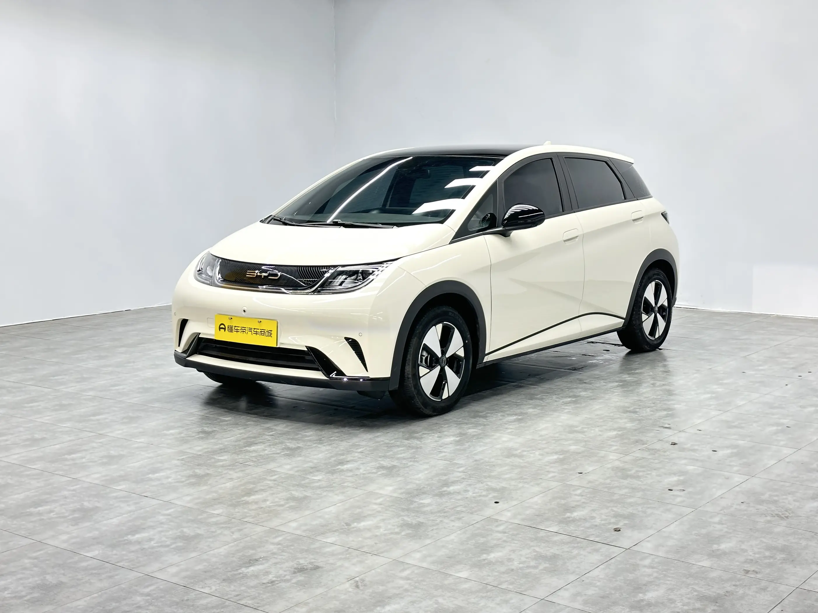 BYD Dolphin  из Китая