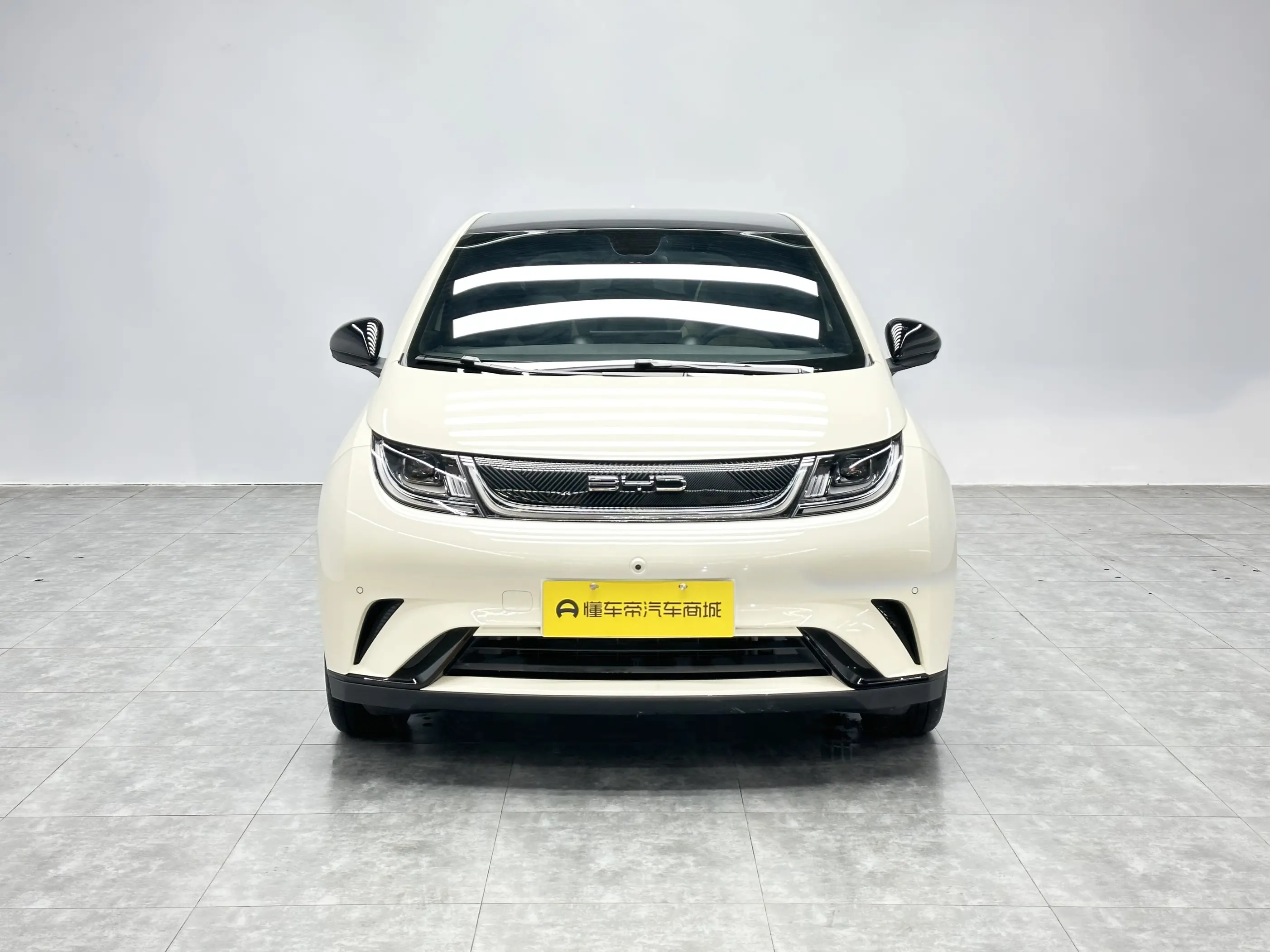 BYD Dolphin  из Китая