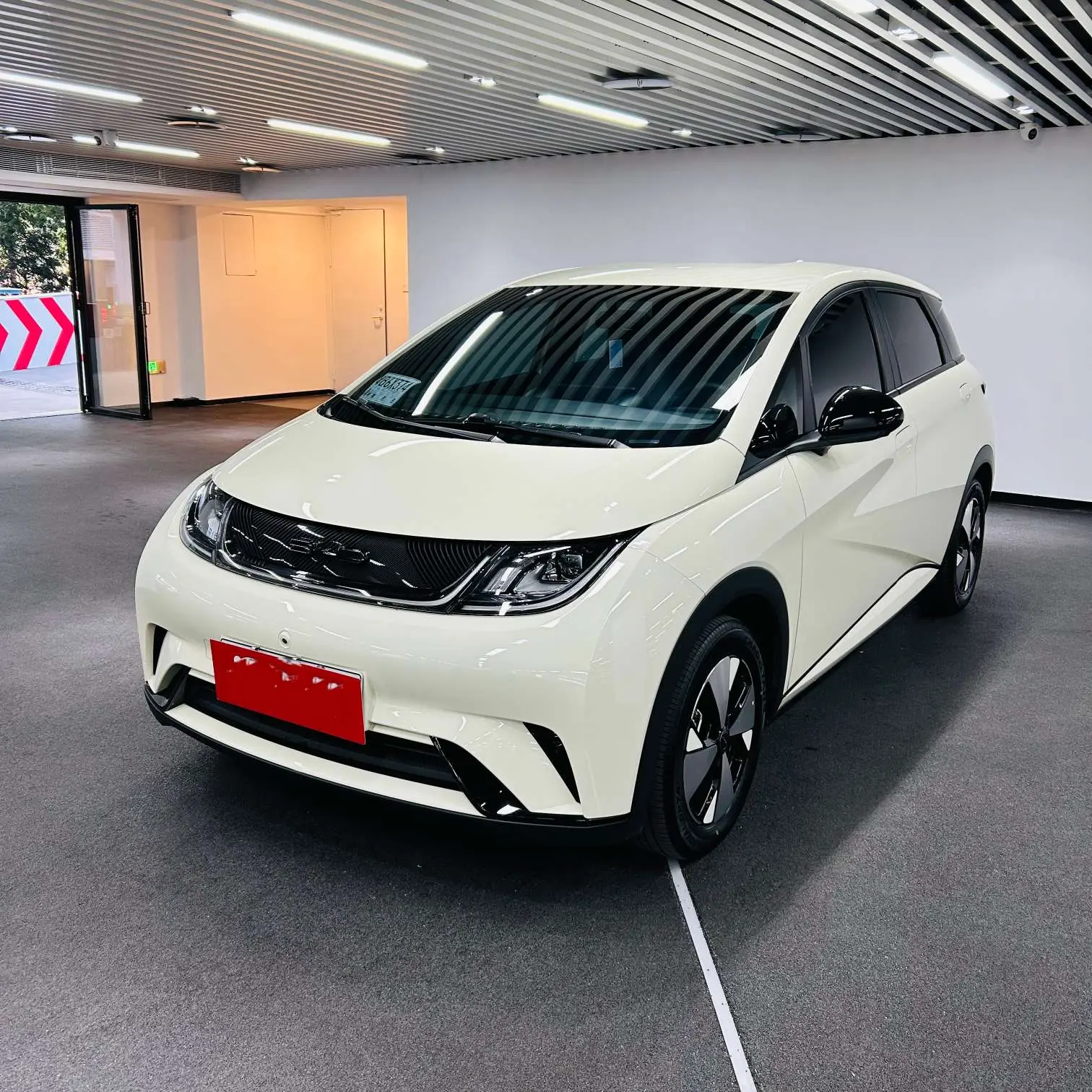 BYD Dolphin  из Китая