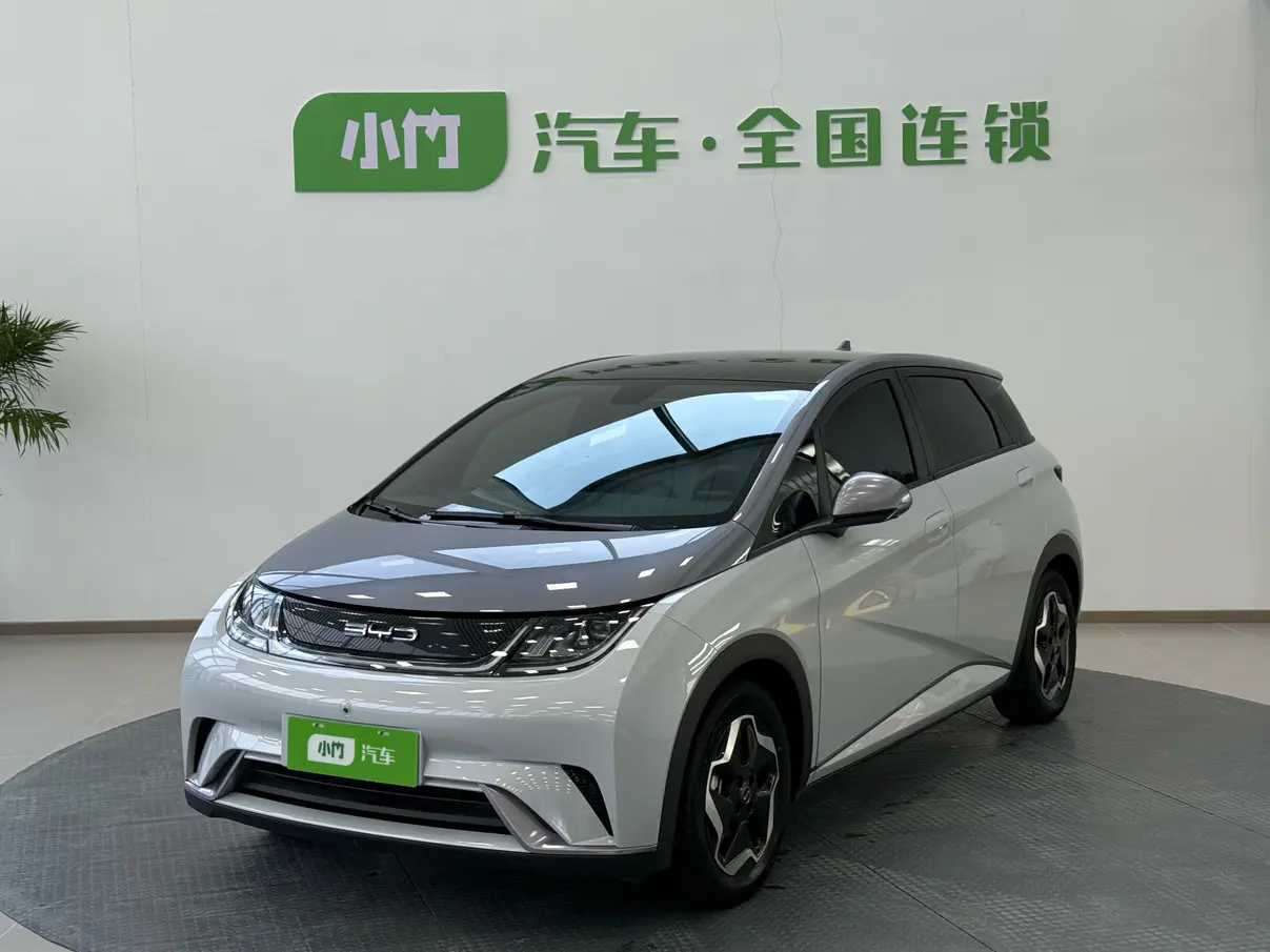 BYD Dolphin  из Китая