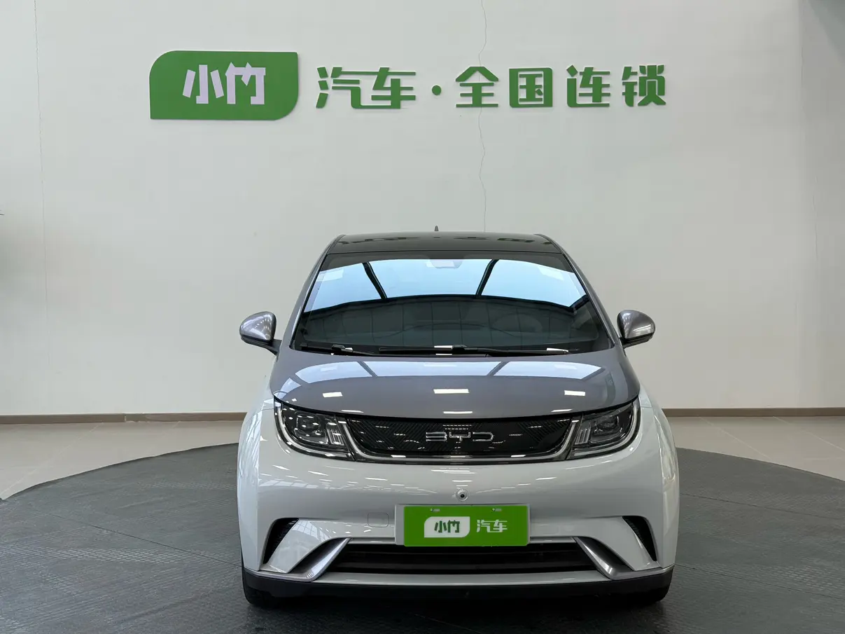 BYD Dolphin  из Китая