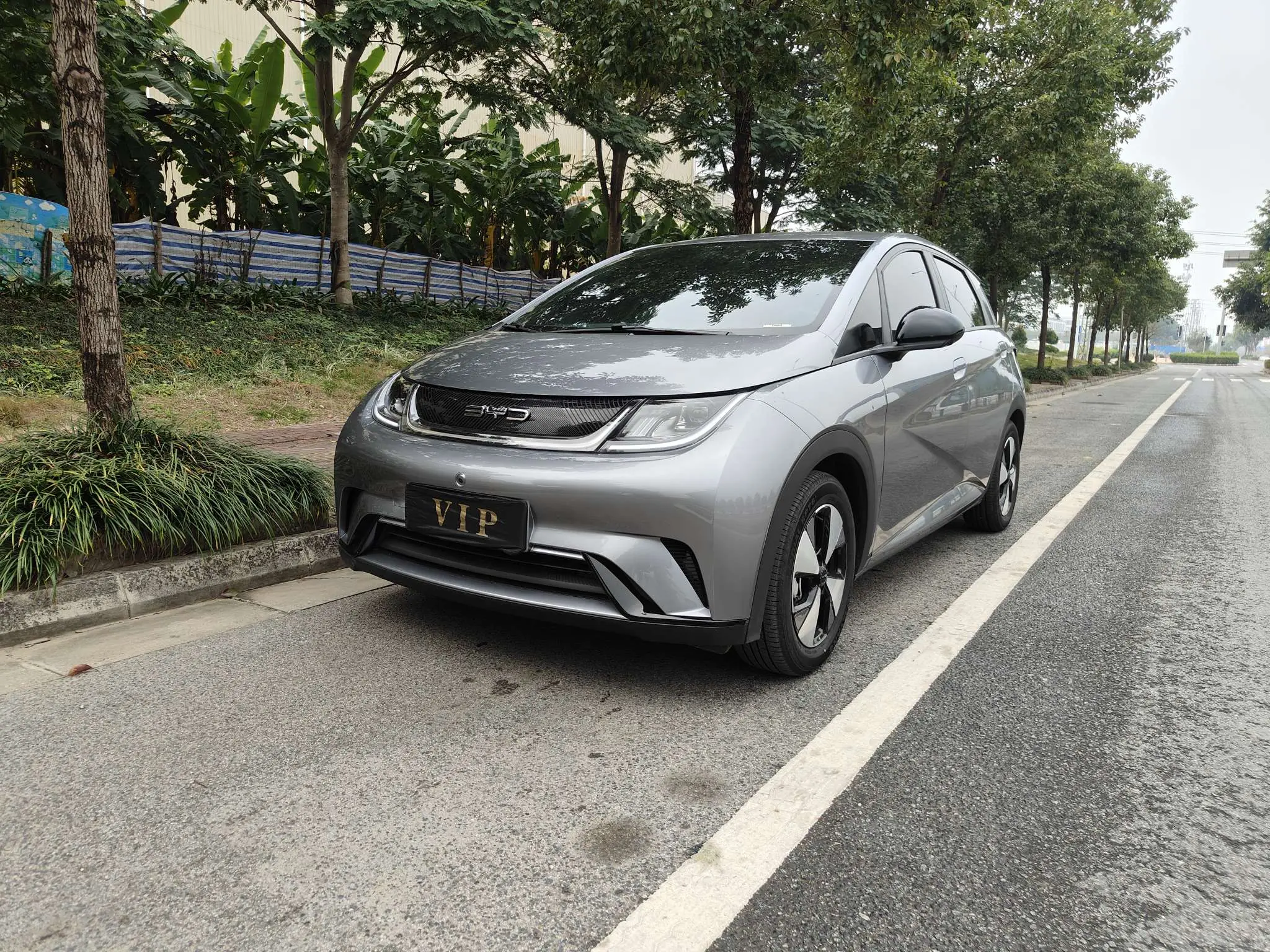 BYD Dolphin  из Китая