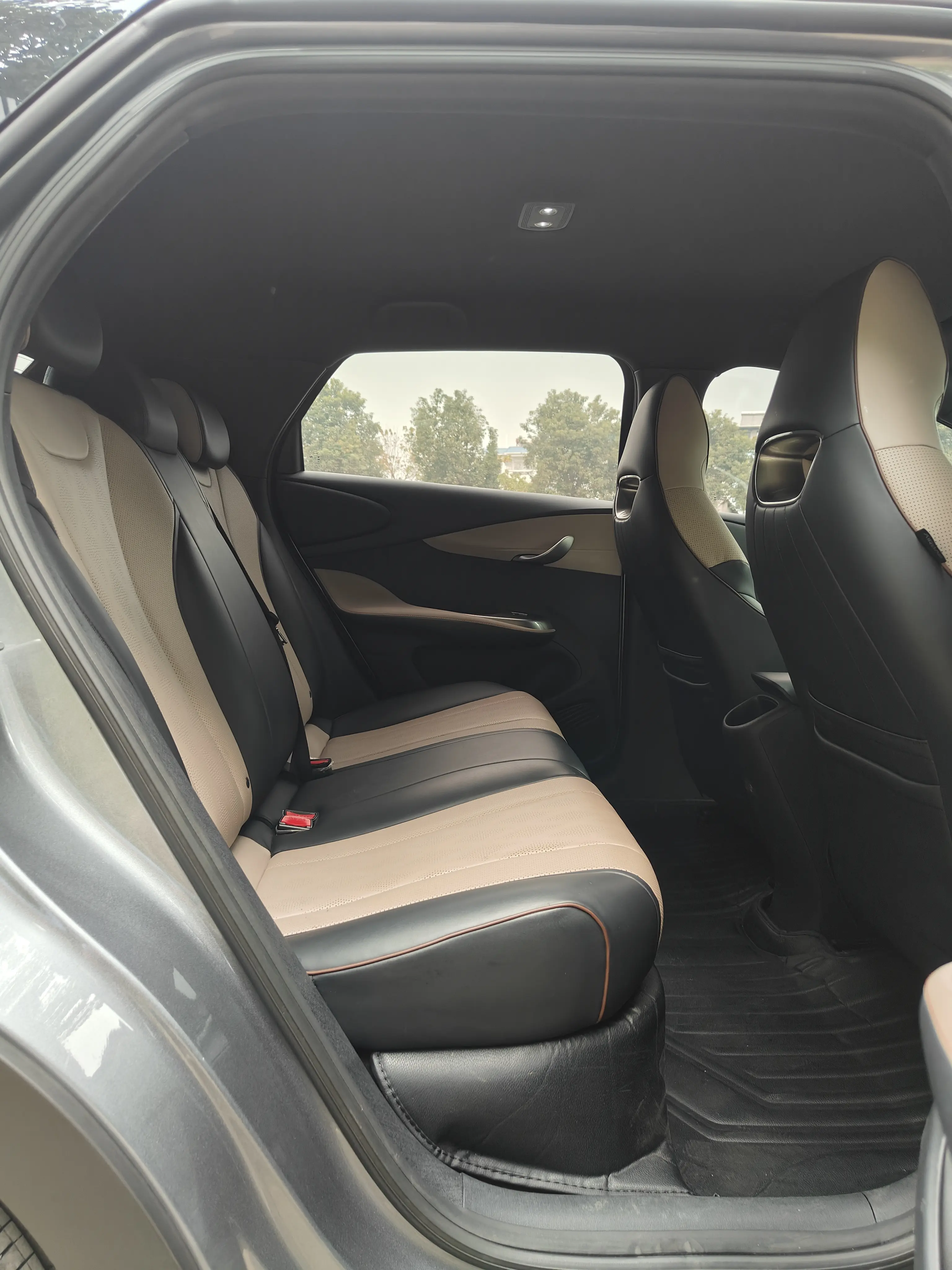 BYD Dolphin  из Китая