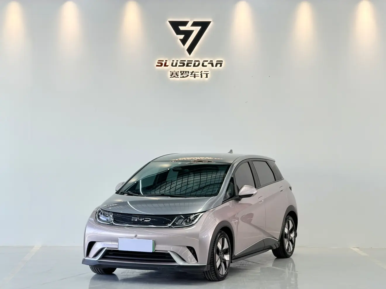 BYD Dolphin  из Китая