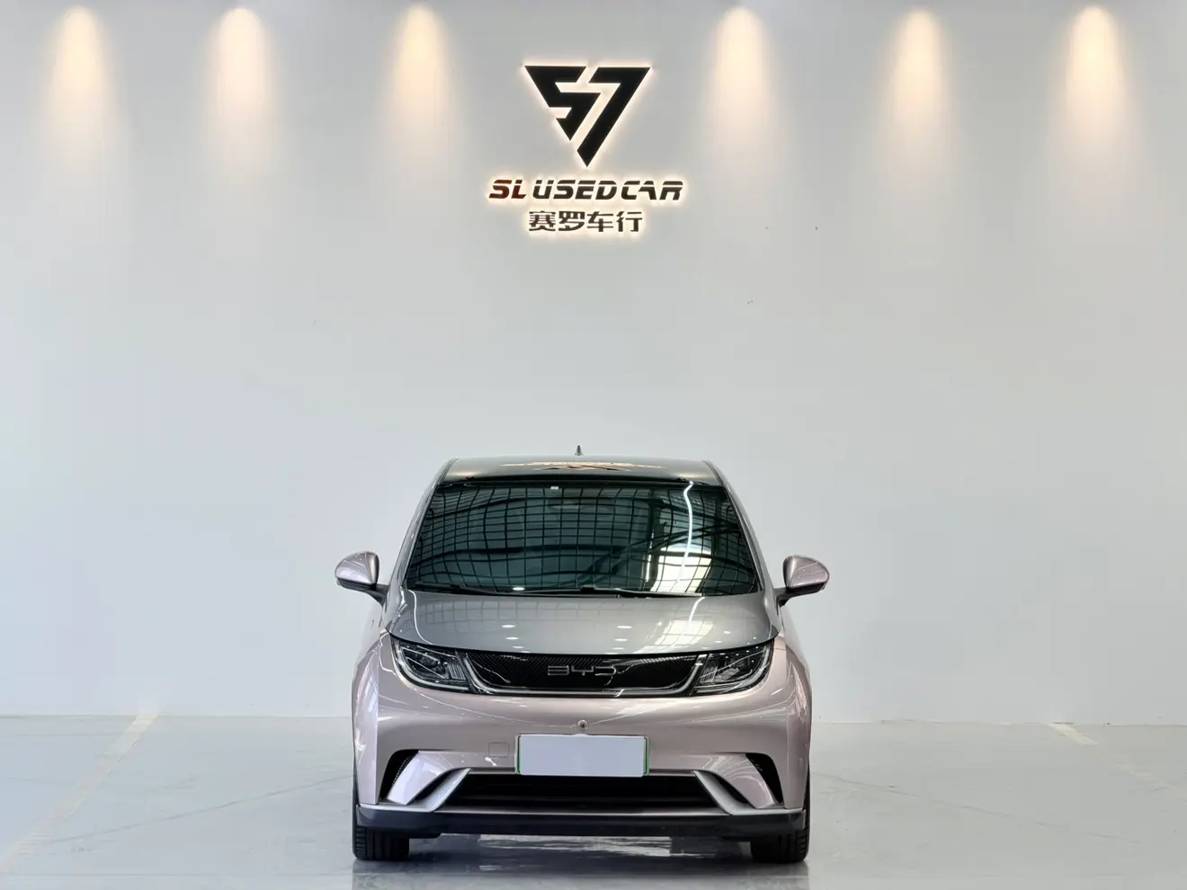 BYD Dolphin  из Китая