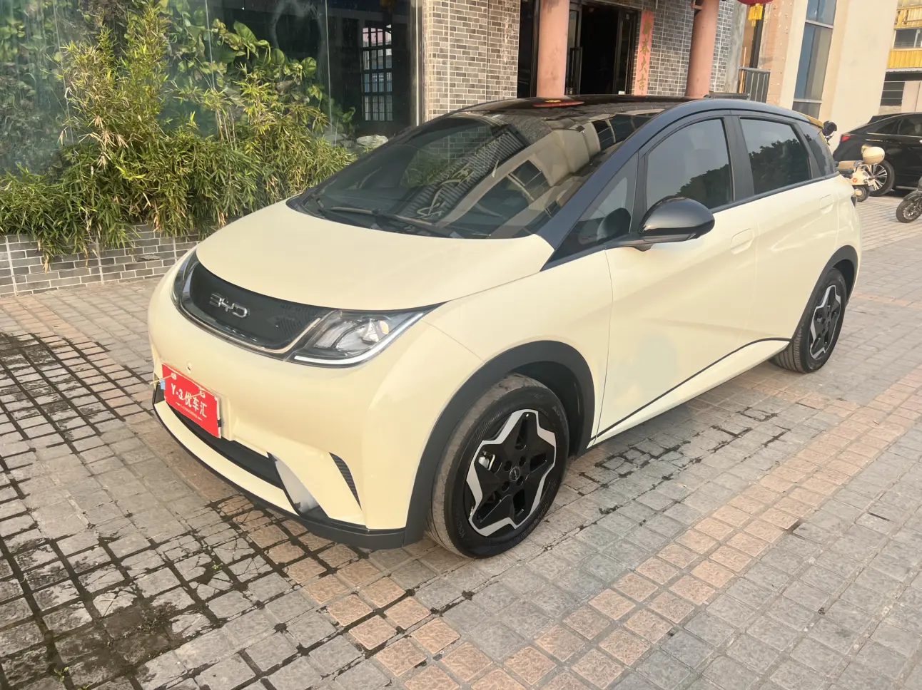 BYD Dolphin  из Китая