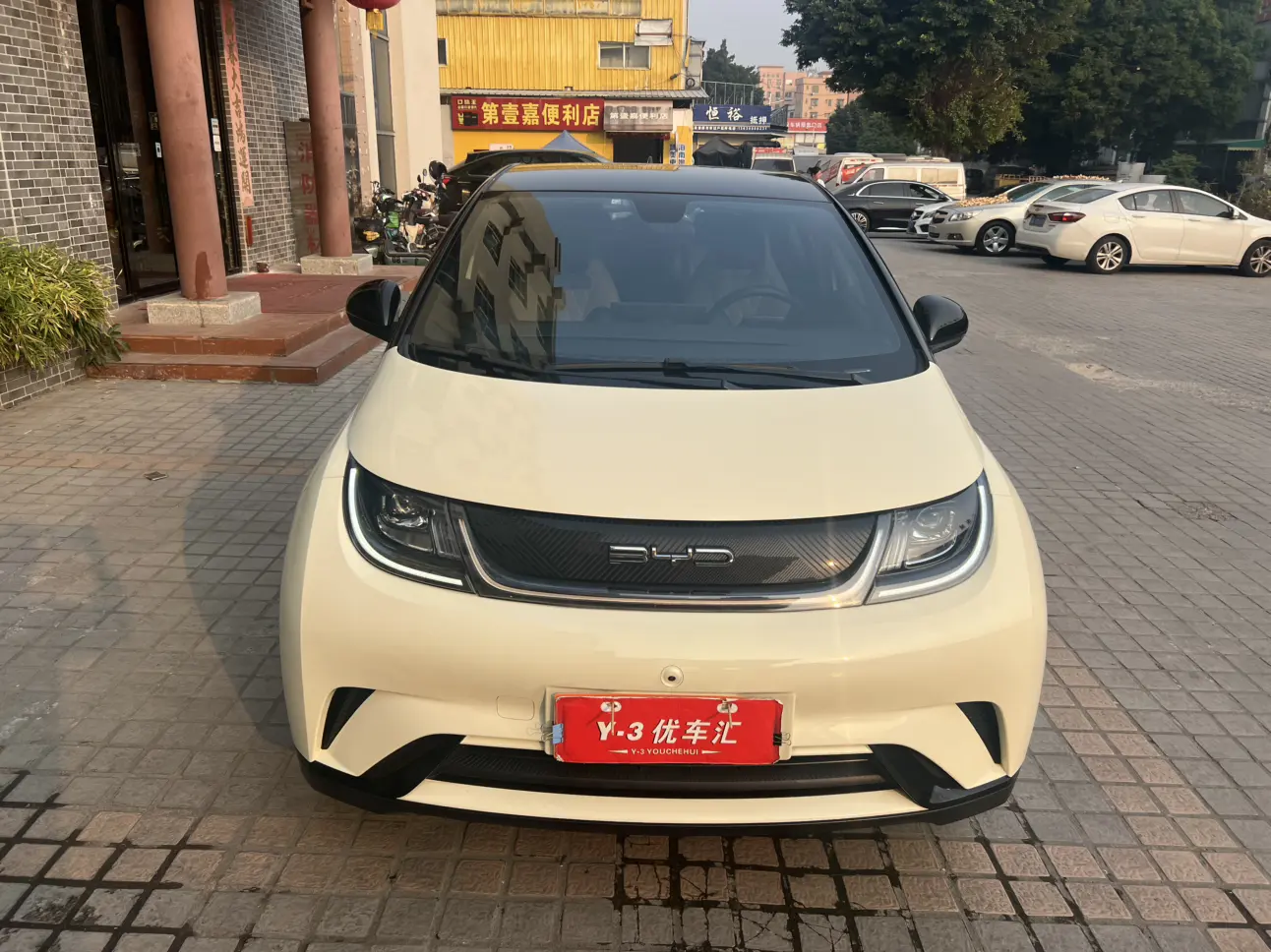 BYD Dolphin  из Китая