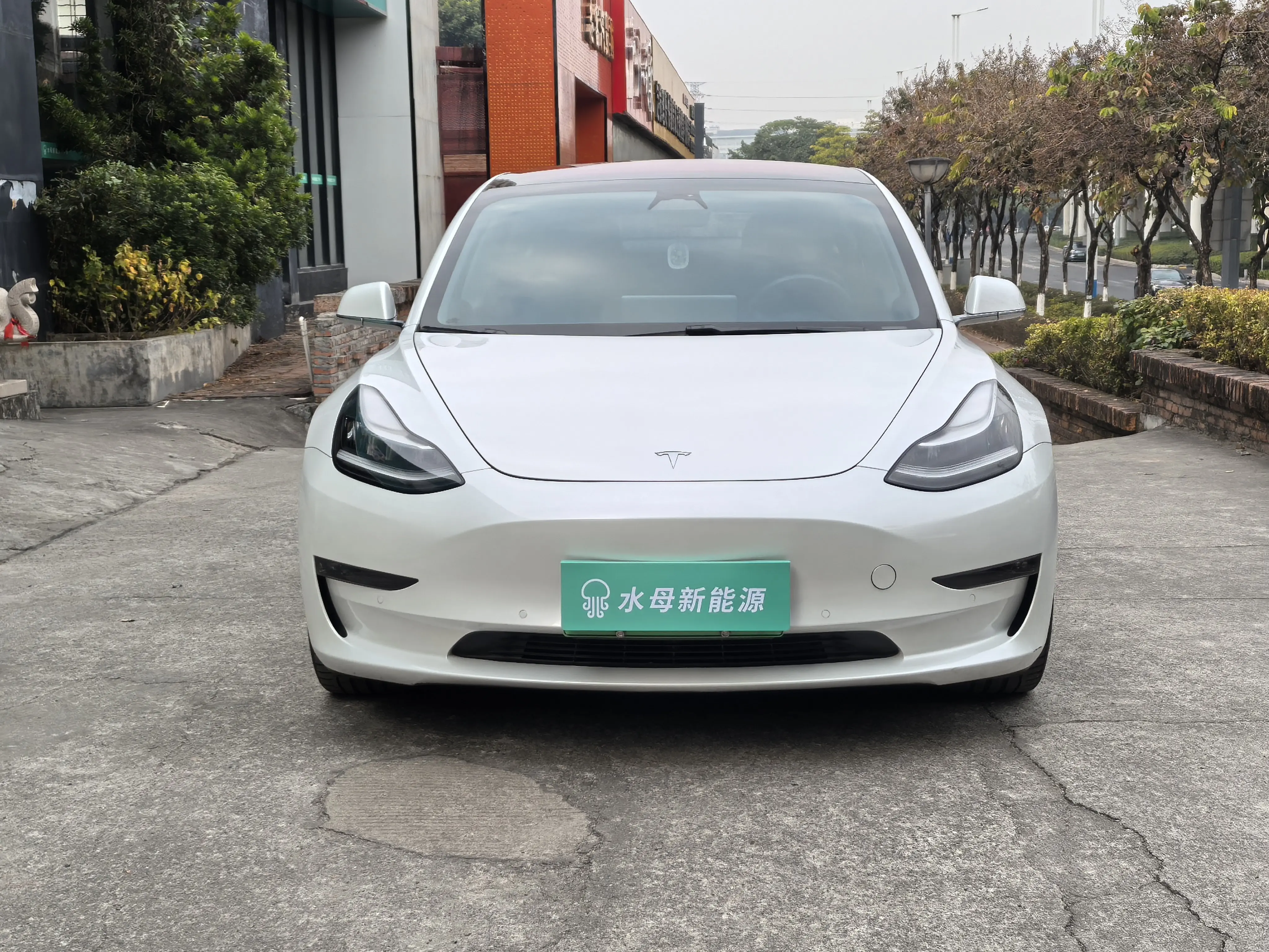 Tesla Model 3  из Китая